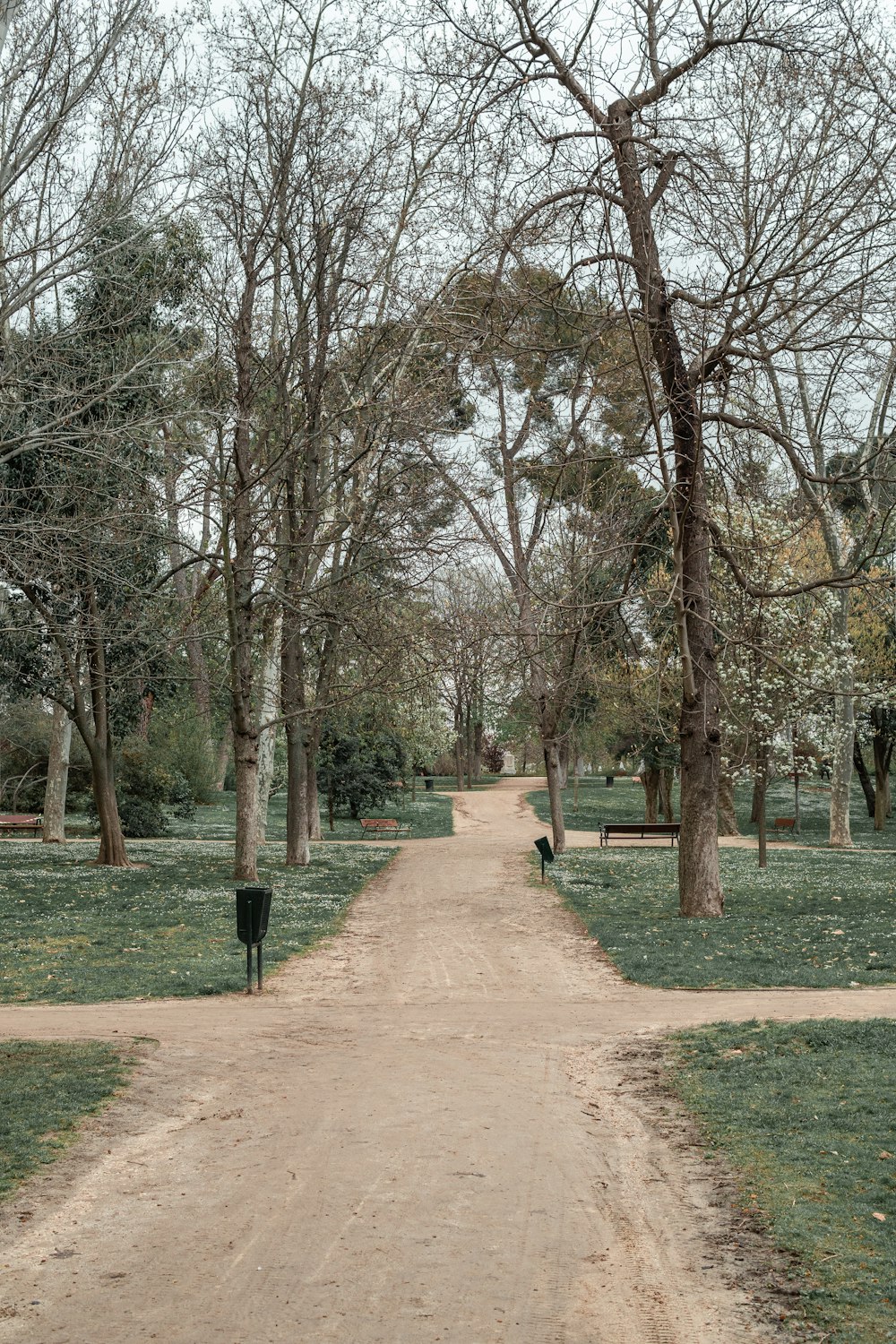 a dirt road in a park lined with trees