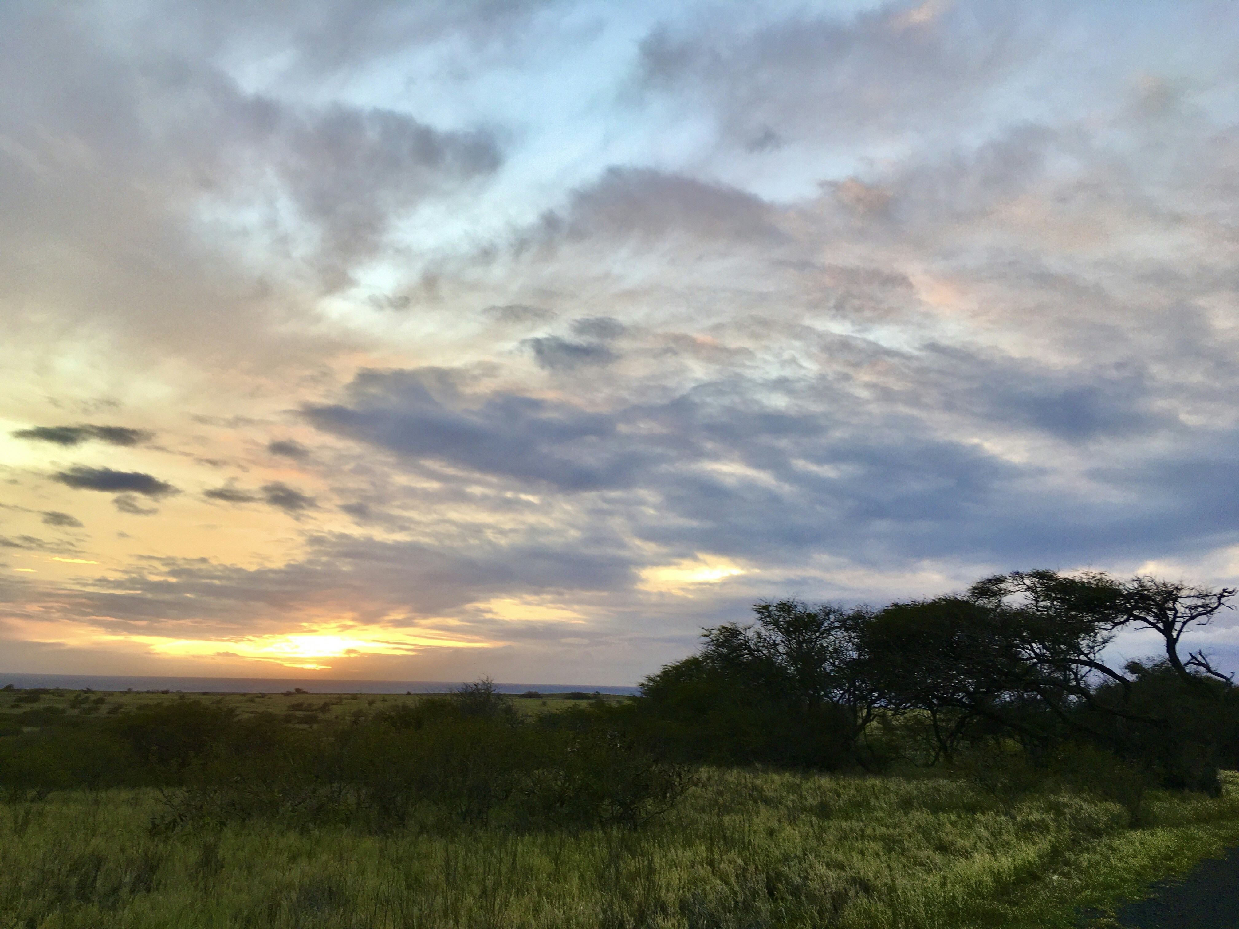 Photo by skarlettebaron