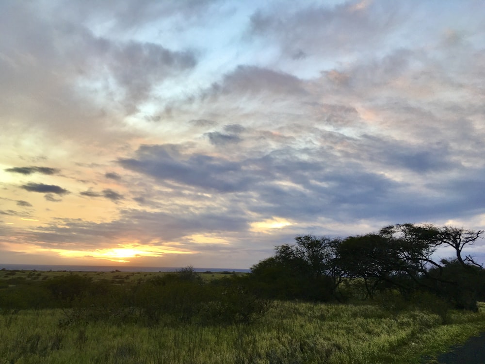 the sun is setting over a grassy field