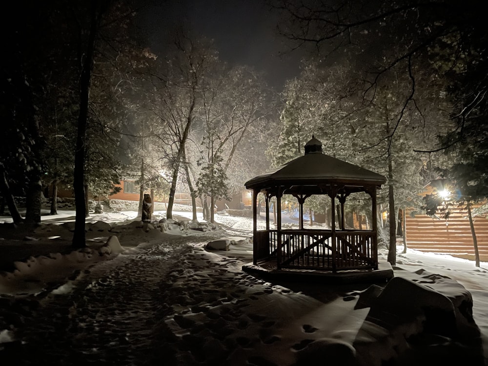 a gazebo in a snowy park at night