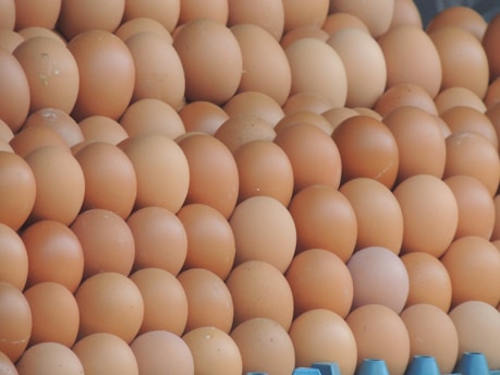 a bunch of eggs stacked on top of each other