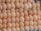 A collection of brown eggs is stacked in a dense arrangement, showcasing smooth, uniform surfaces with subtle variations in shade. A few eggs have minor imperfections or specks, adding to their natural appearance. In the bottom right corner, a blue egg carton is partially visible.