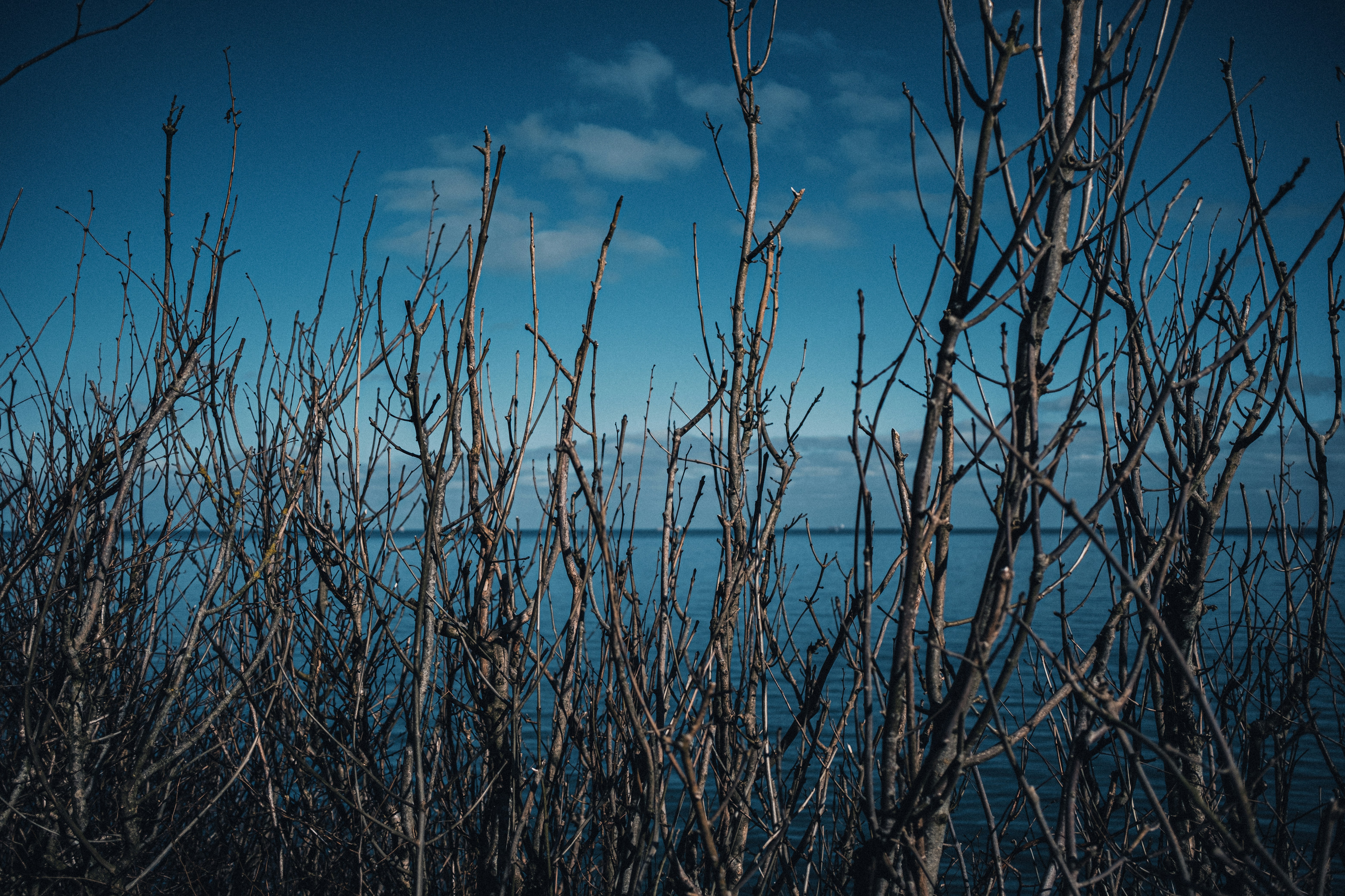 Photo by reganography