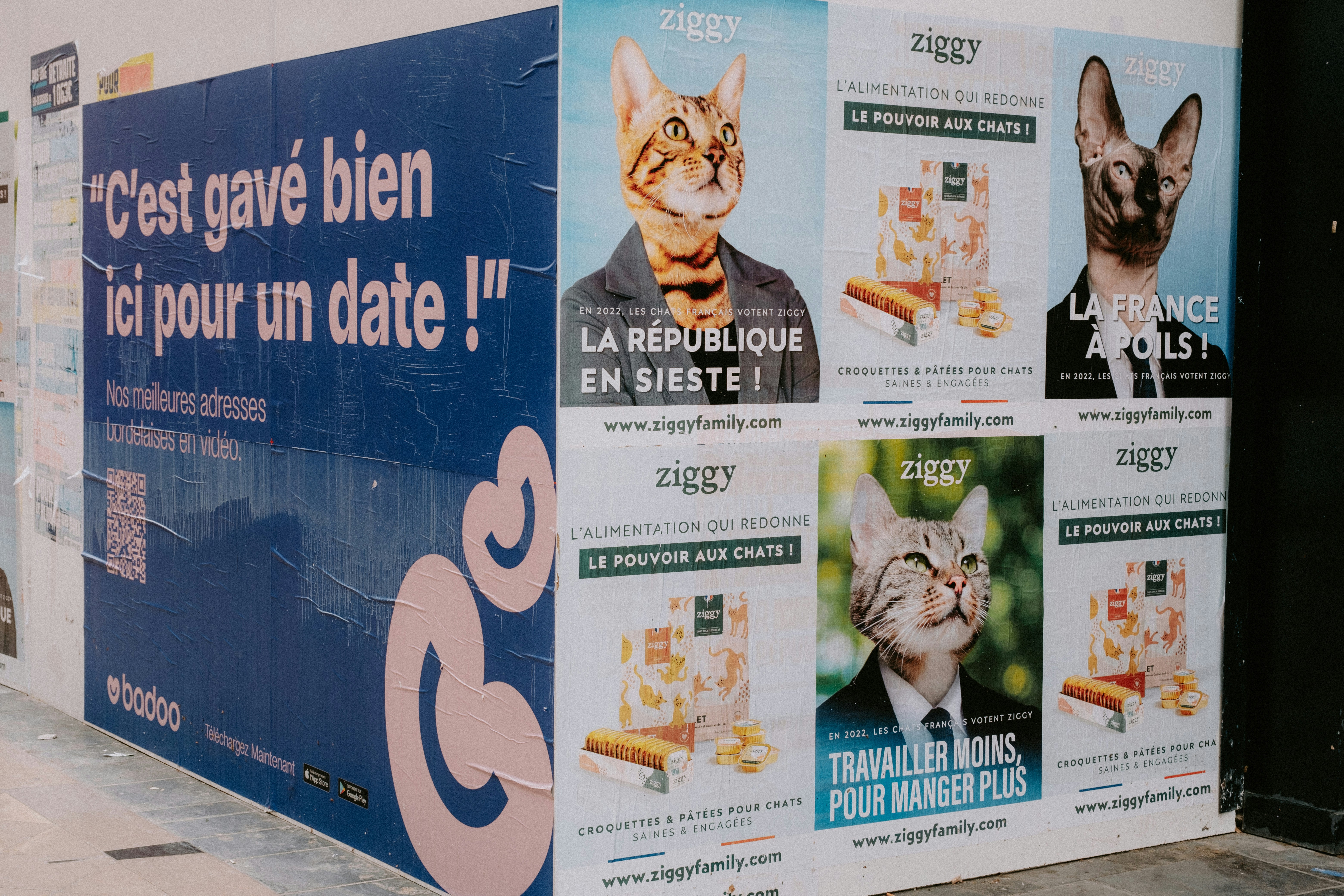 The Cat That Ran for Mayor — And Almost Won