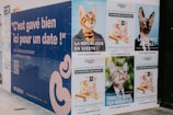 A series of posters featuring cats are displayed on a wall. The central theme revolves around humorous political campaigns for cats, with slogans related to leadership and governance. The posters are colorful, with the main colors being blue and green. Each poster features a cat in a suit or with an expression of authority, suggesting a playful take on political advertisements. The text on the posters includes phrases like 'La République en Sieste' and 'La France à Poils'.
