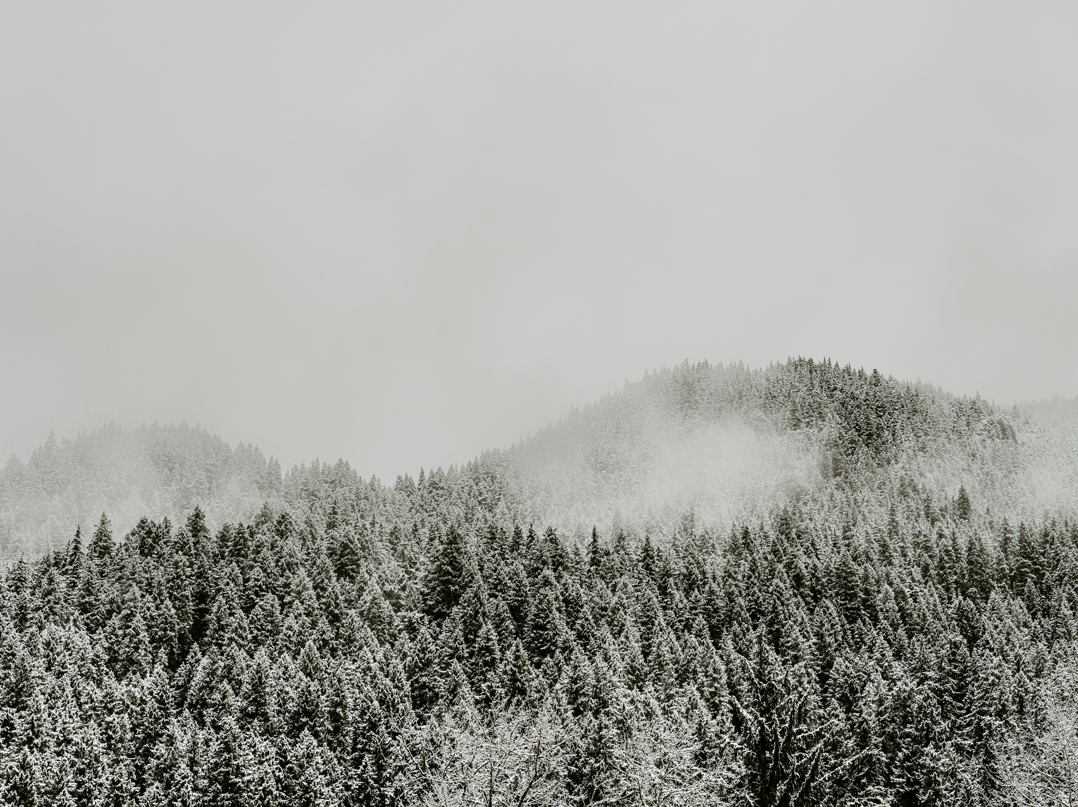 Photo by kierinsightarchives