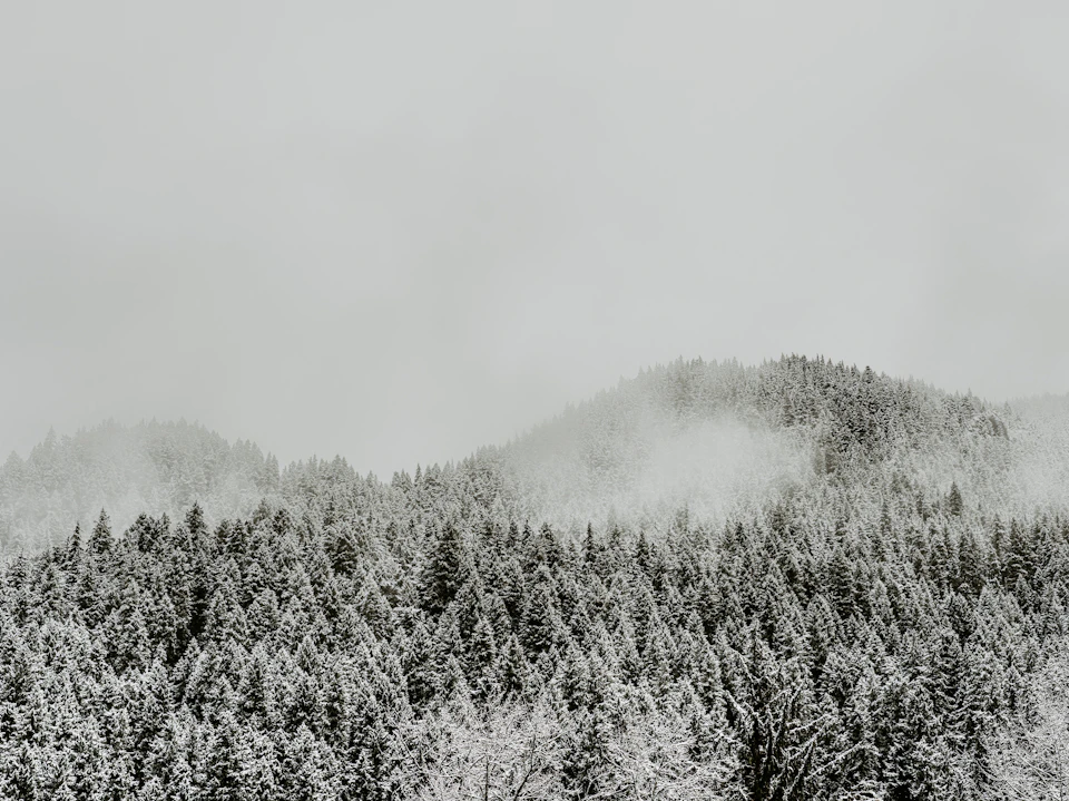 Serene winter landscape with snow-covered trees and mountains in the background from above