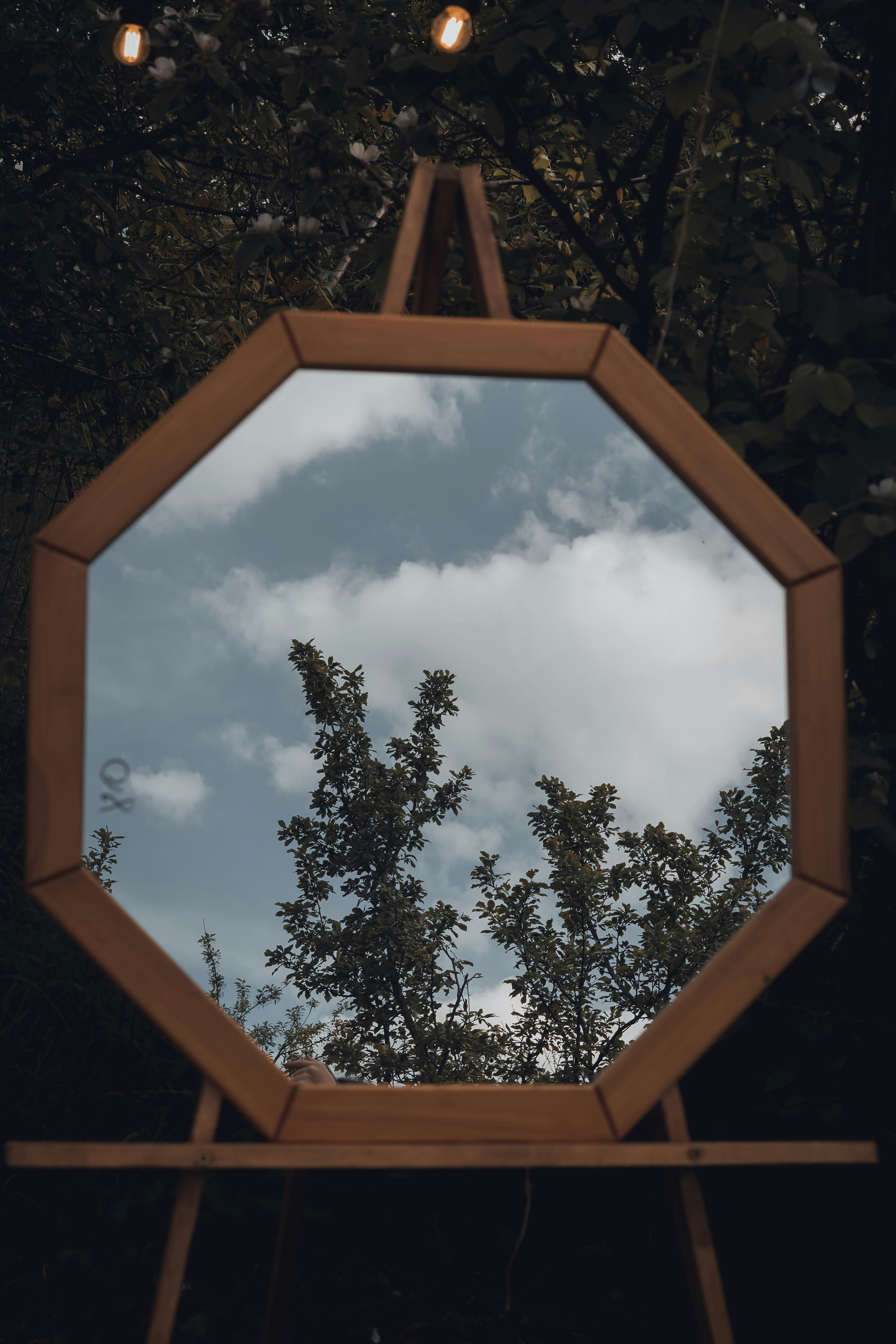 photo-1649897114274-3193295cf010?ixid=M3wxMjA3fDB8MXxzZWFyY2h8NHx8JUQwJUJBJUQxJTgwJUQwJUIwJUQwJUJBJUQwJUI1JUQwJUJEJTIwJUQwJUI3JUQwJUI1JUQxJTgwJUQwJUJBJUQwJUIwJUQwJUJCJUQwJUJFJTIwJUQxJTgxJUQwJUIwJUQwJUI5JUQxJTgyJUQwJUIwfGVufDB8fHx8MTc1OTUwODcyM3ww\u0026ixlib=rb-4.1.0