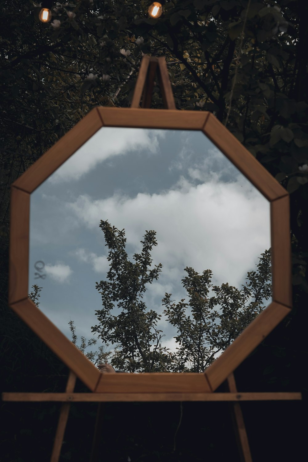 a mirror with trees in the reflection of it