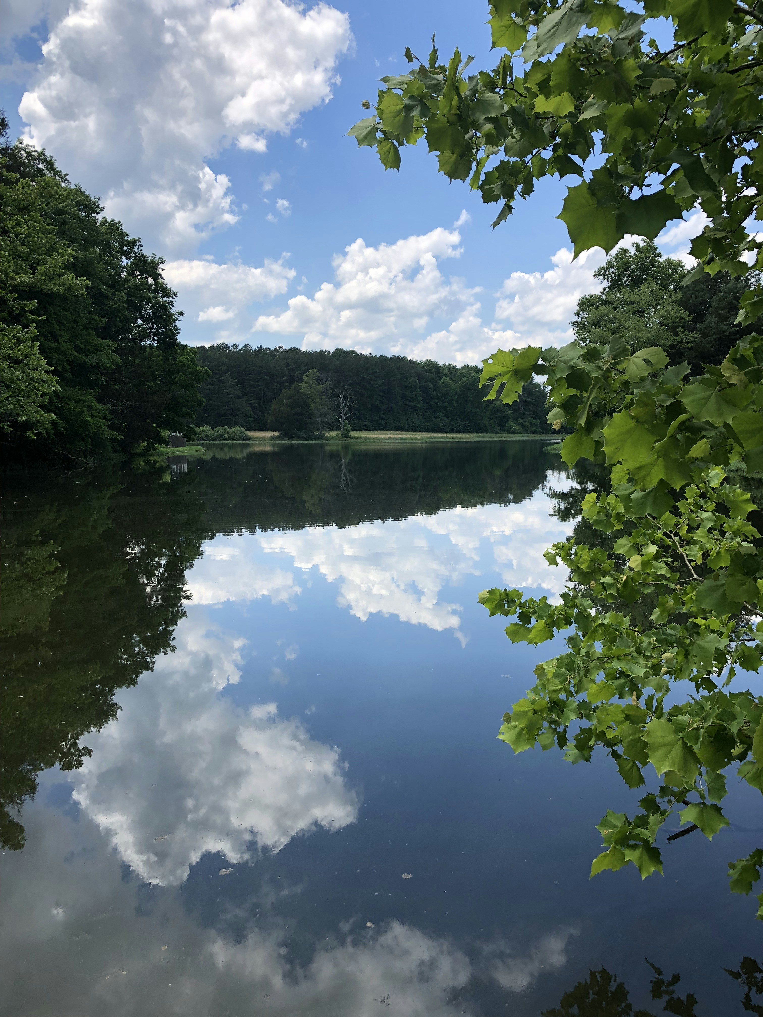 Photo by everythingsnothing