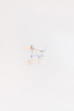a pair of white flowers sitting on top of a white surface