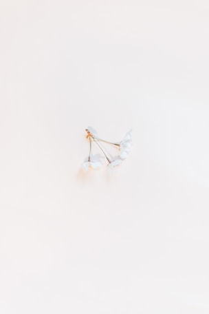 a pair of white flowers sitting on top of a white surface