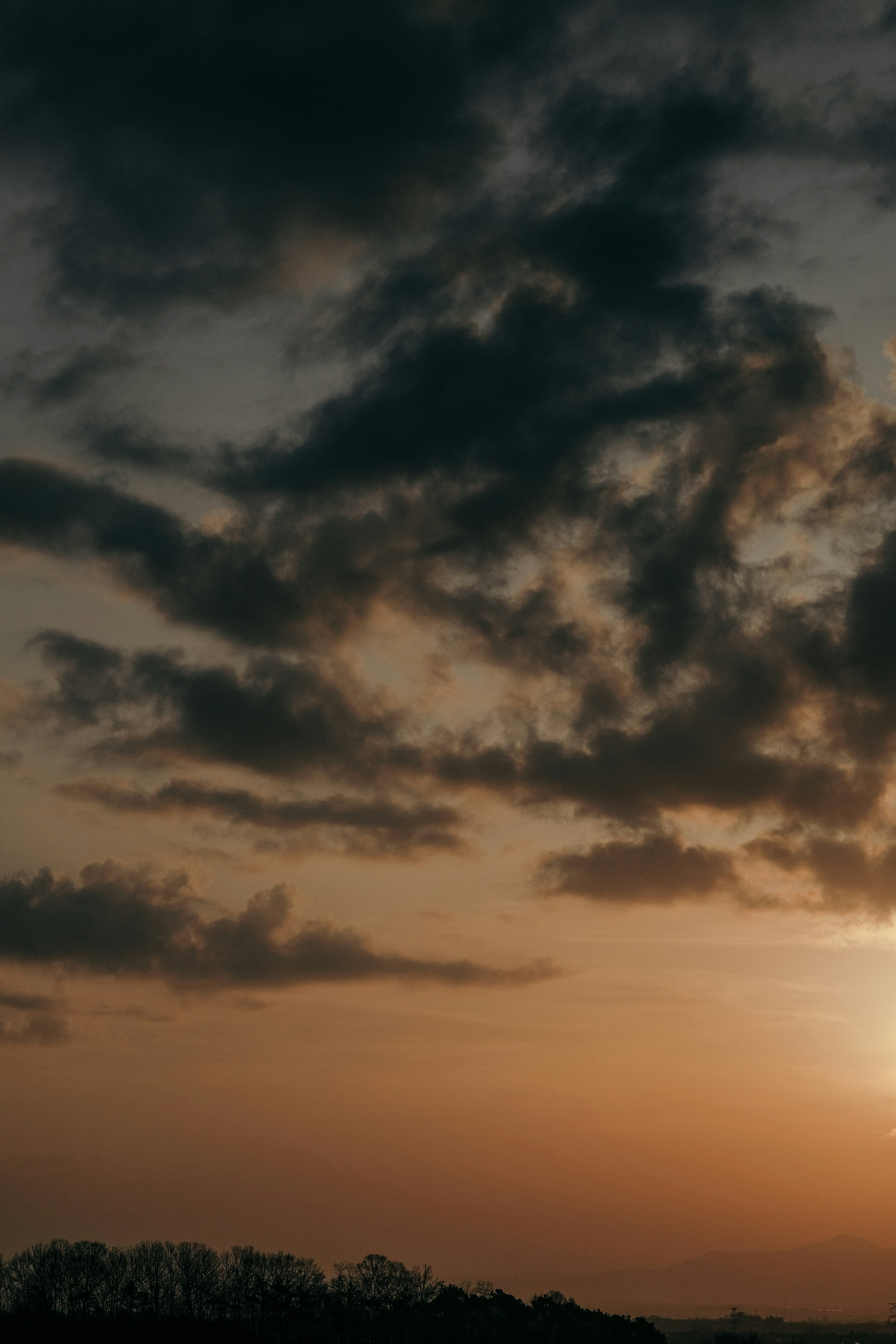 Photo by insungpandora