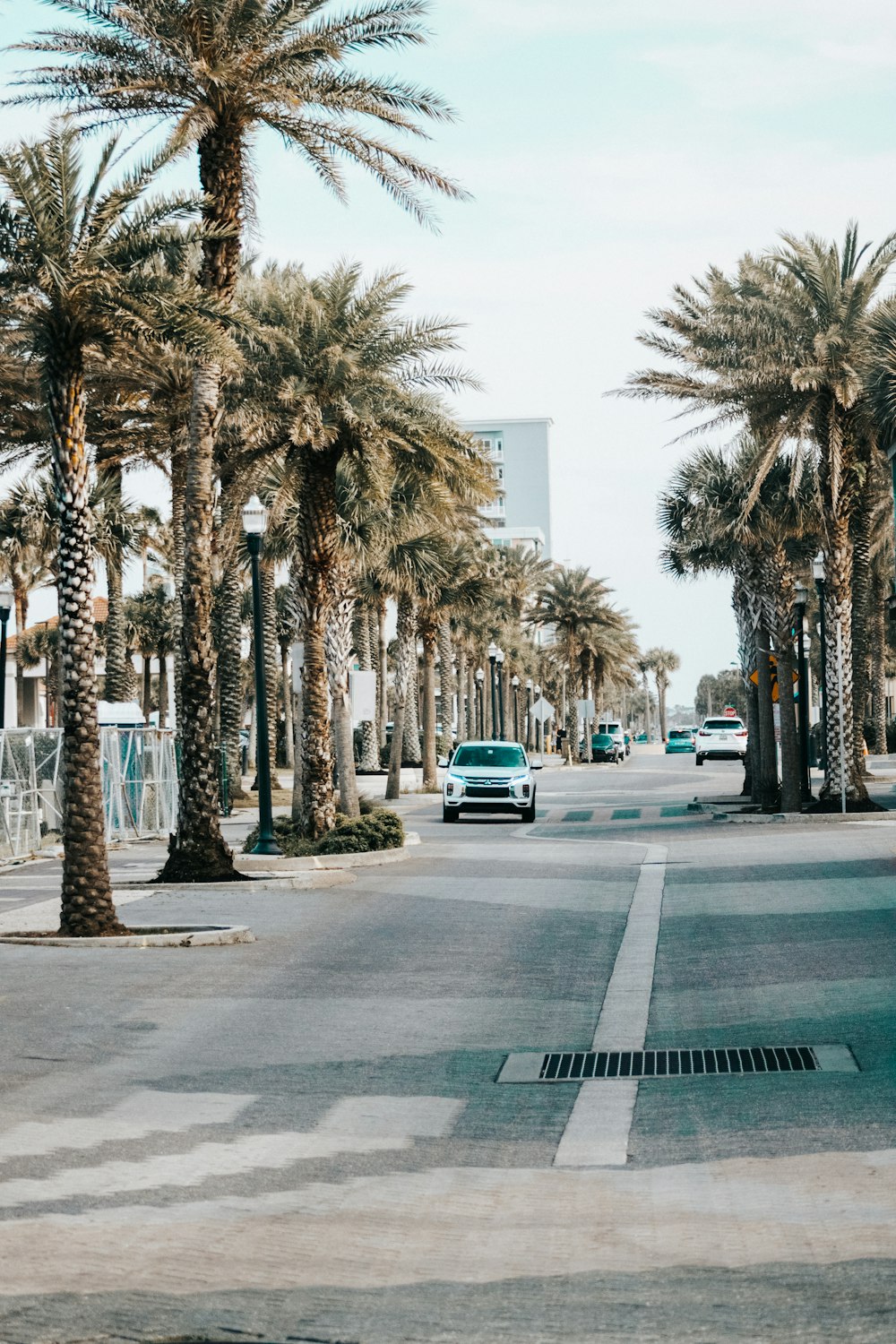 a city street with palm trees and cars