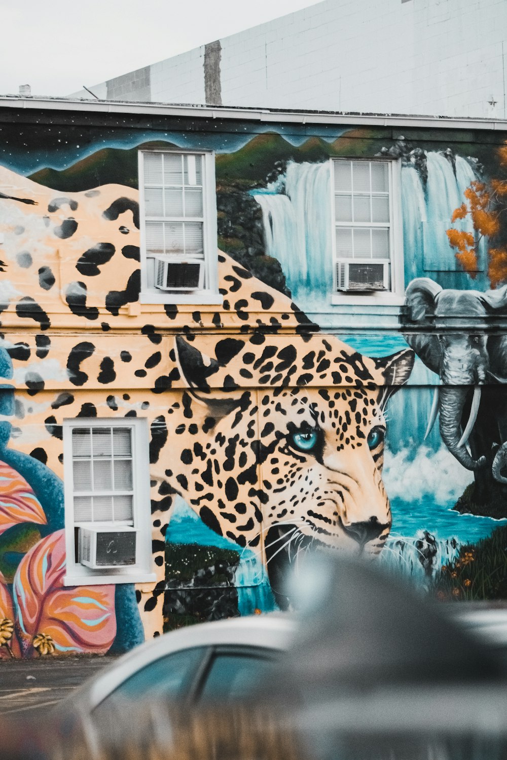 Une peinture murale d’un léopard et d’un tigre sur le côté d’un bâtiment