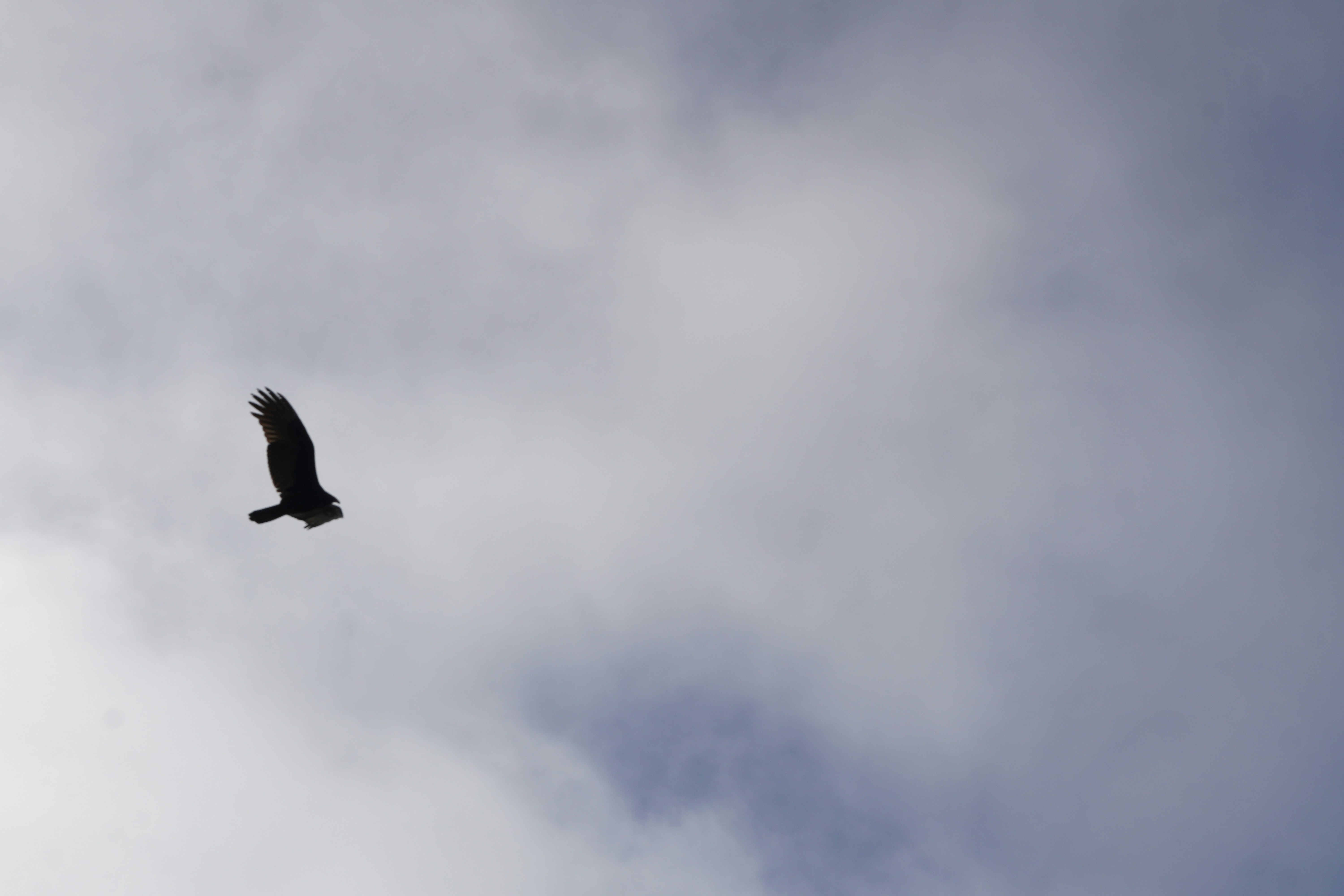 Photo by calecrunchy