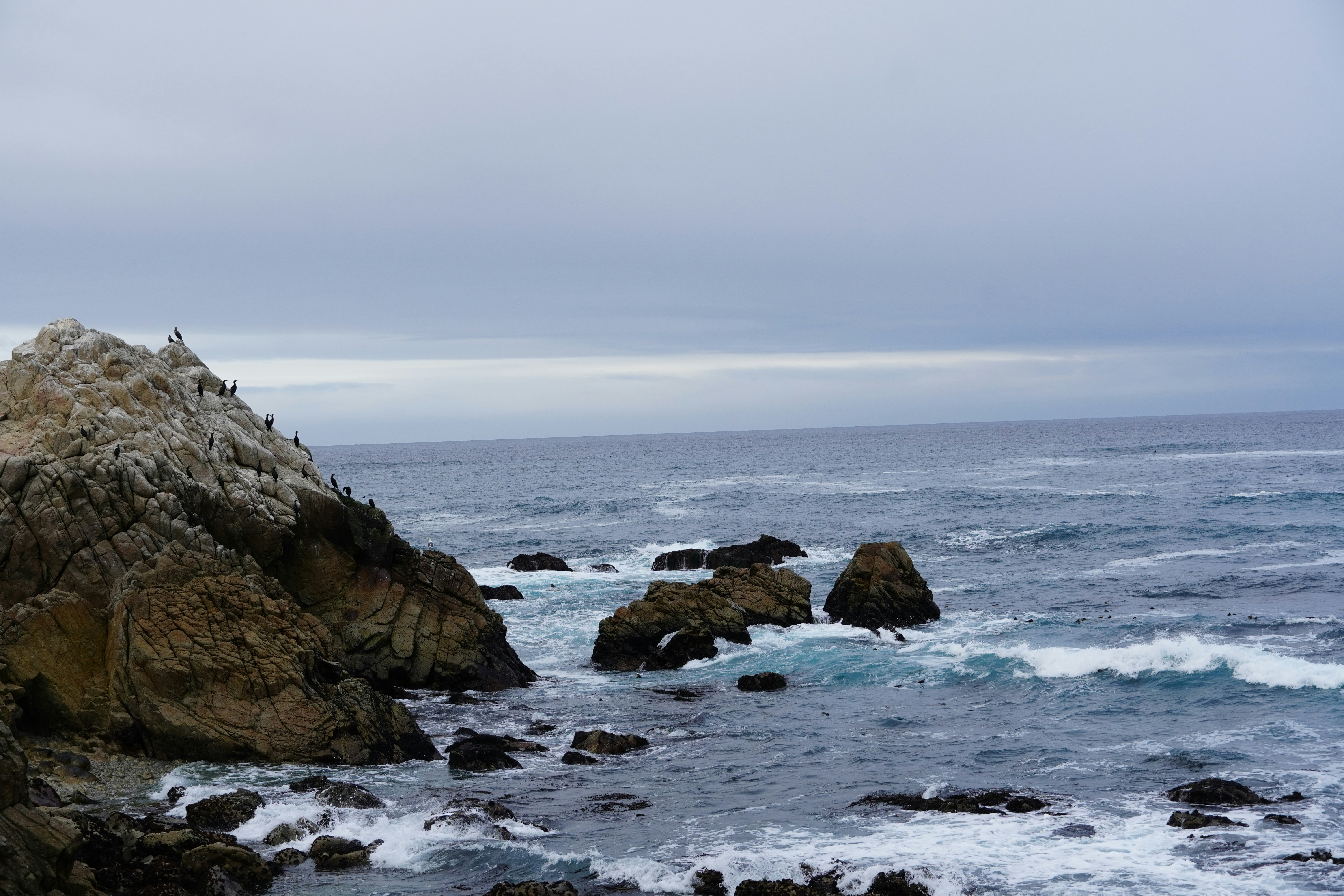 Photo by calecrunchy