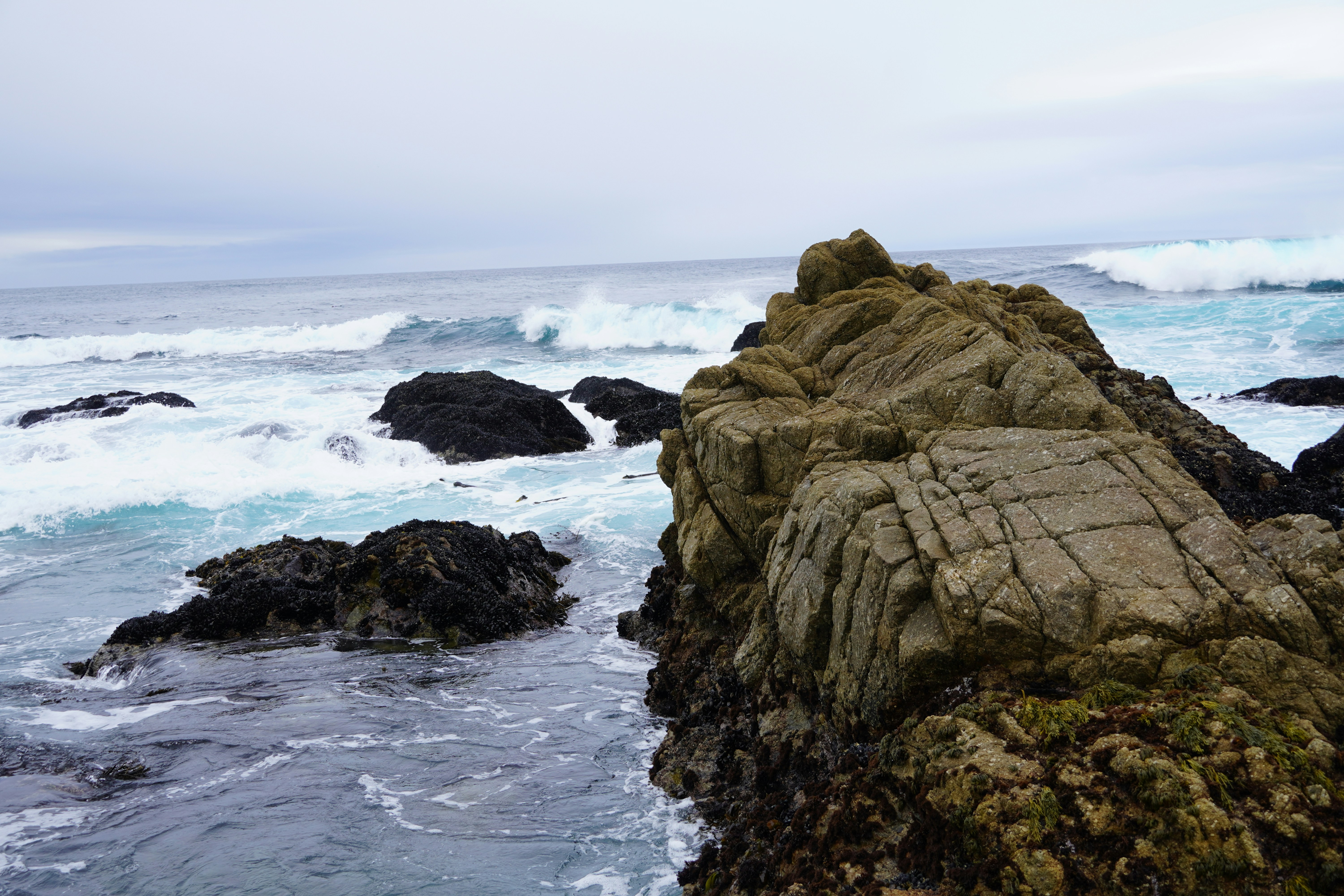 Photo by calecrunchy