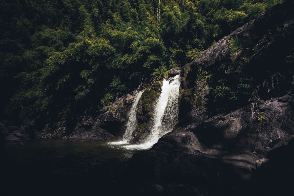 a small waterfall in the middle of a forest