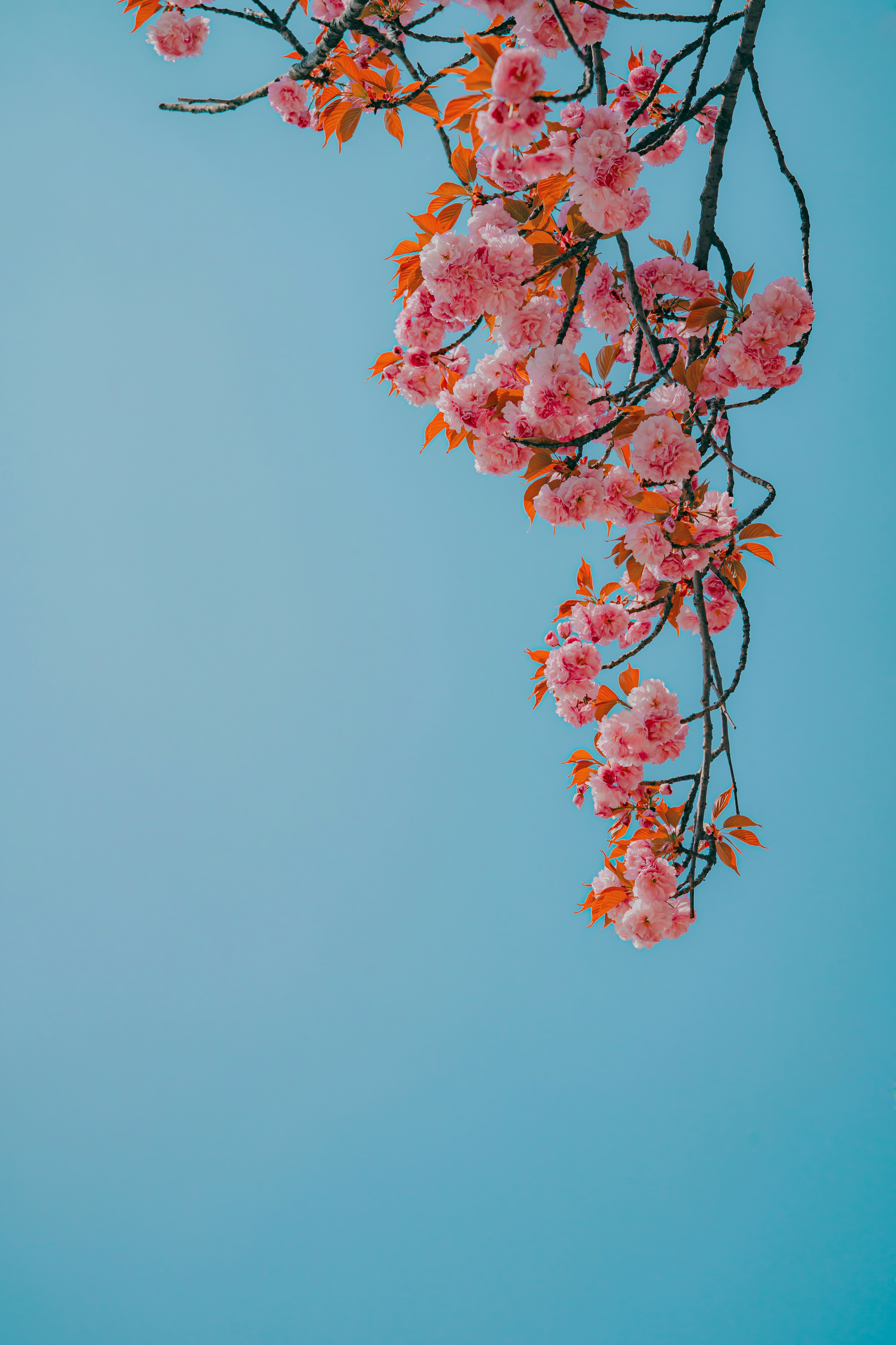 Qu'est-ce que pensée positive