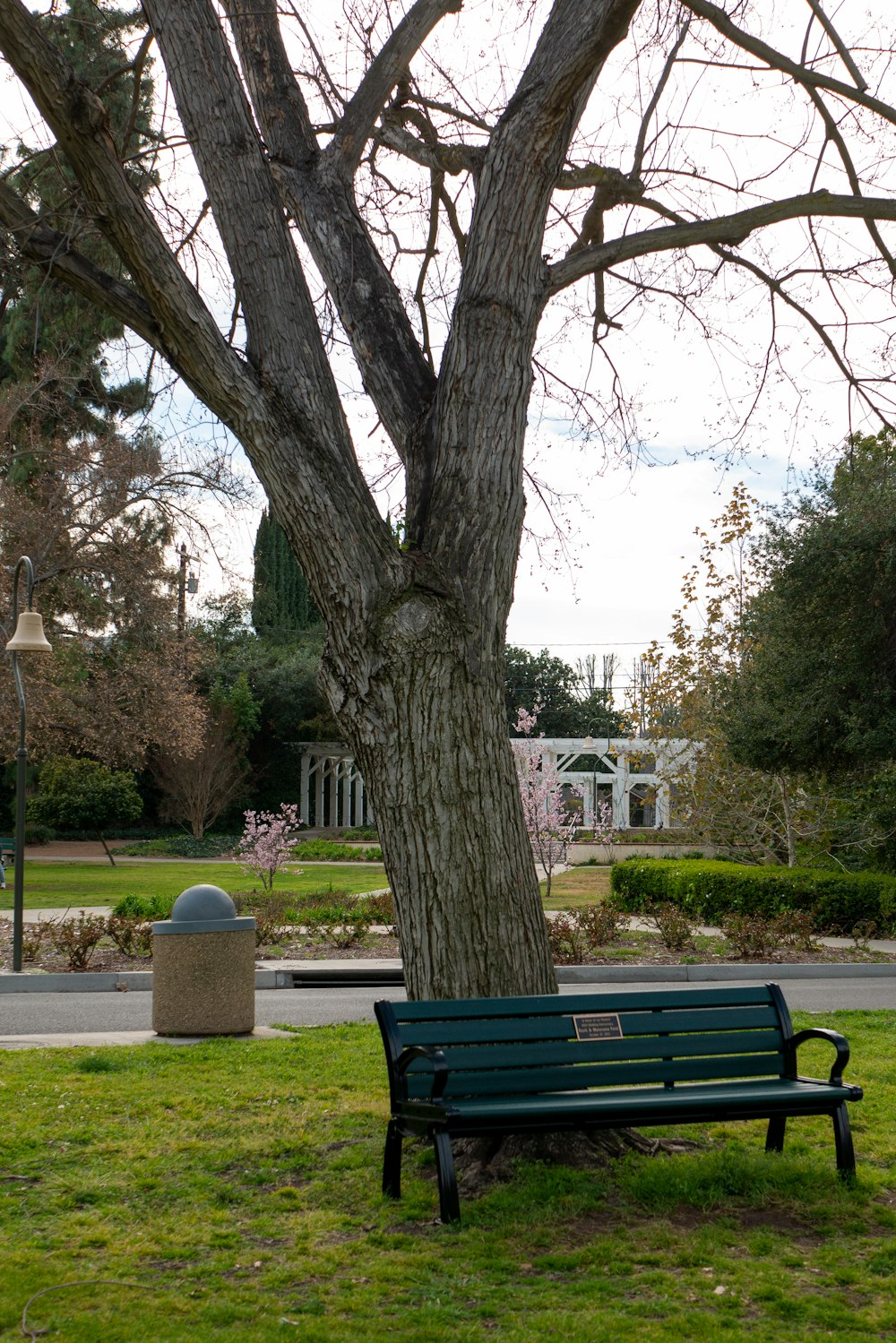 a green park bench sitting under a tree