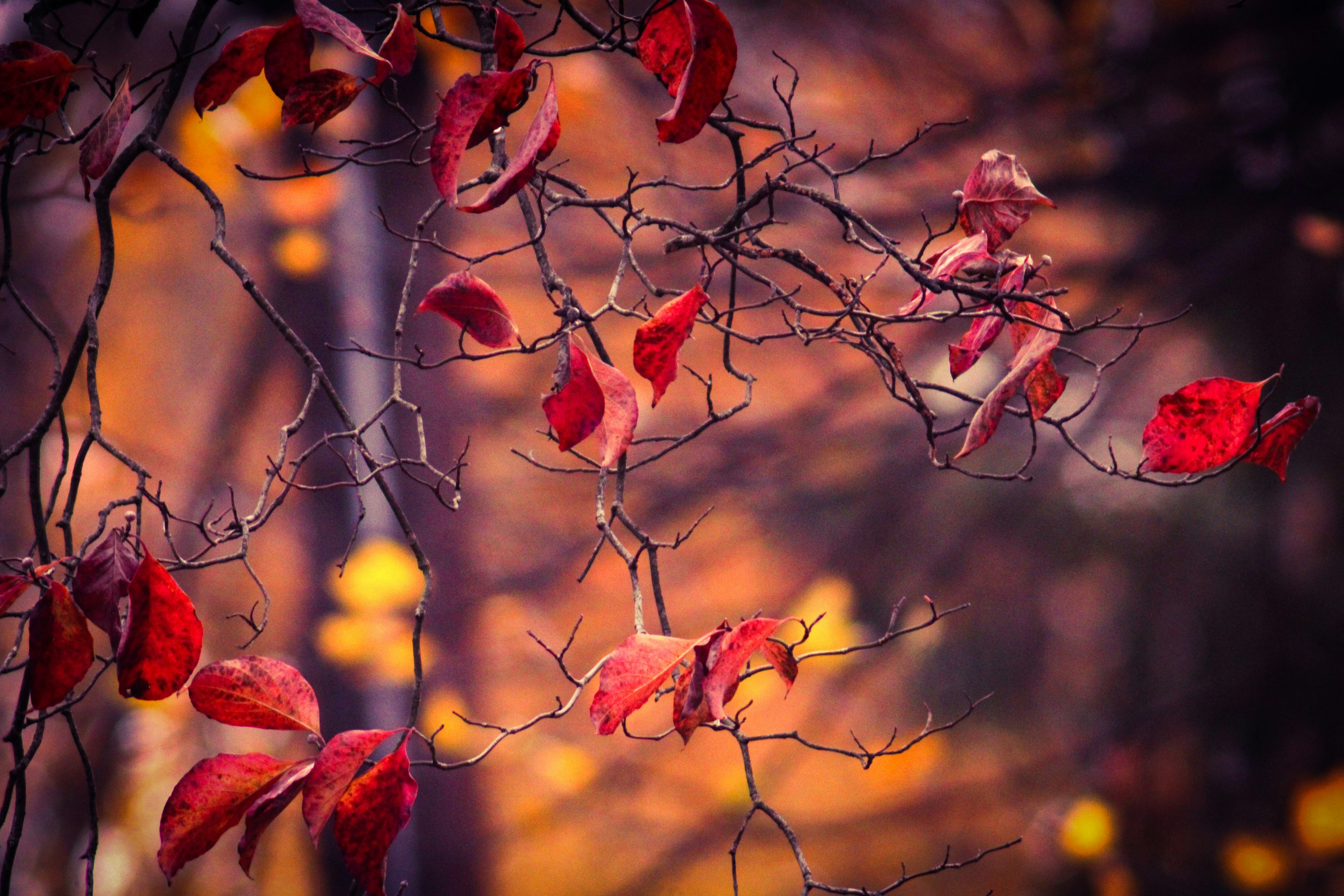 Photo by ashlynnephotos