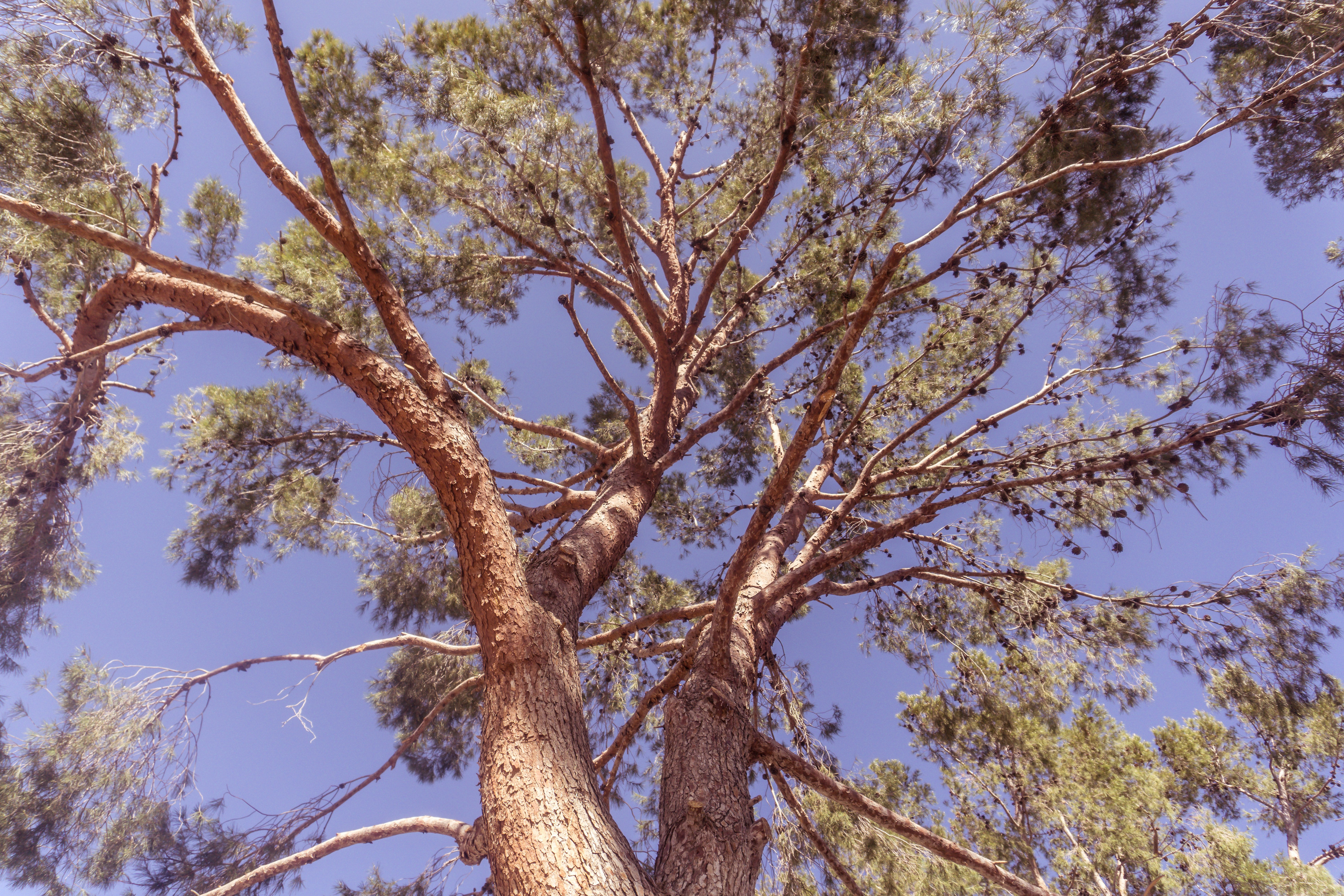 Photo by brianwangenheim