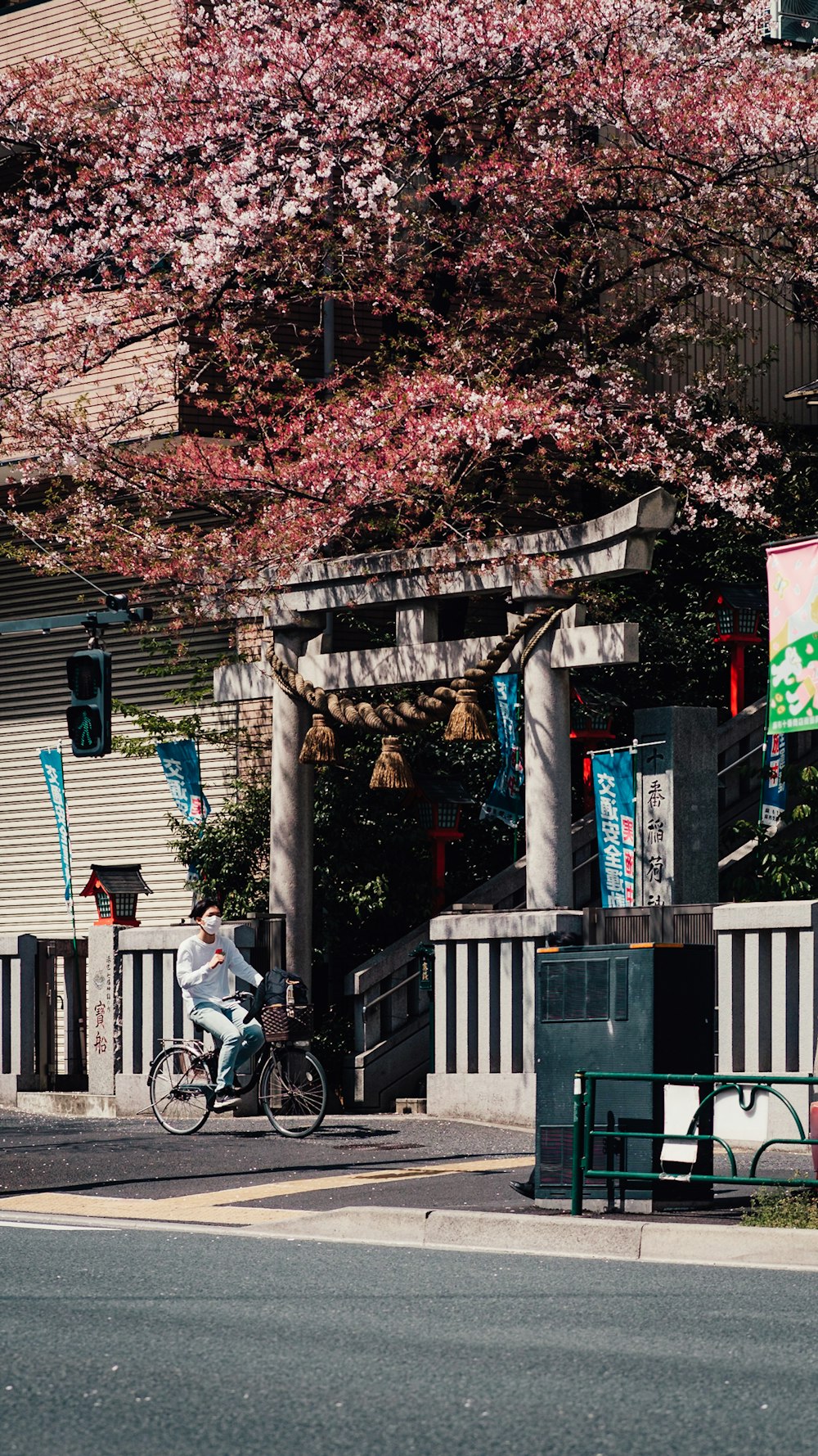 a man riding a bike down a street next to a tree