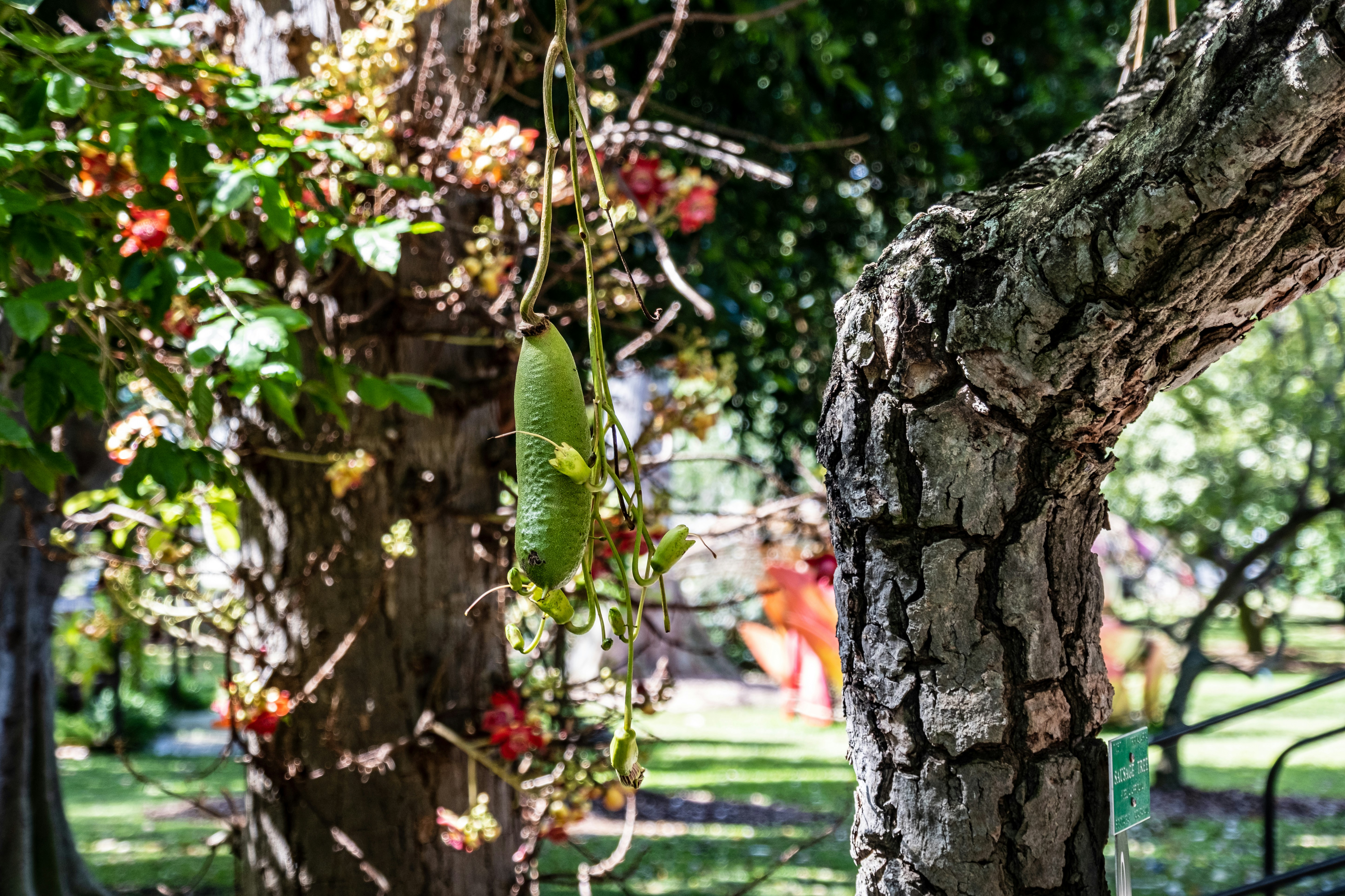 Photo by alanrodriguez