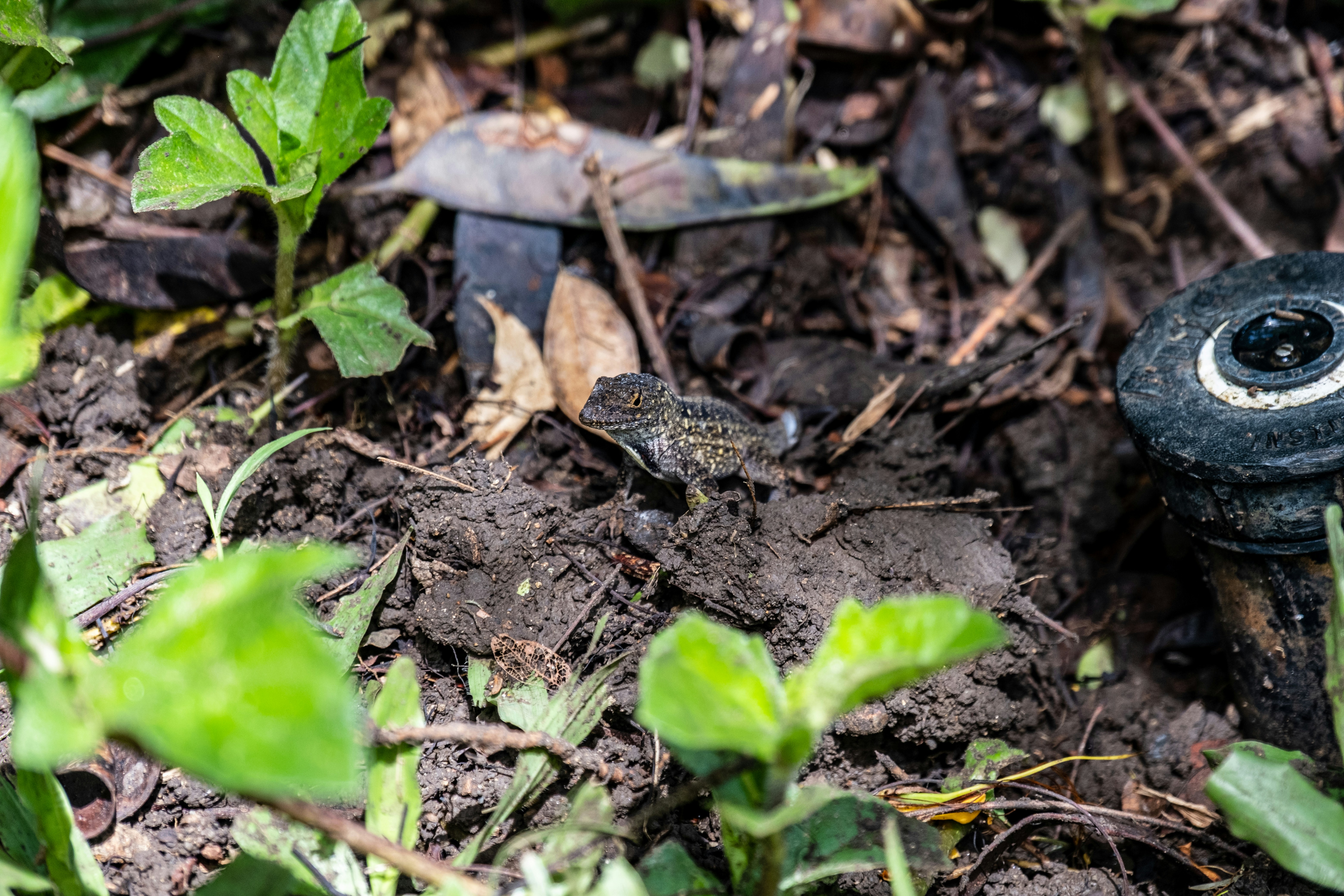 Photo by alanrodriguez