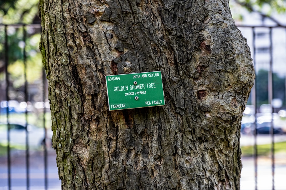 un panneau de signalisation vert attaché à un arbre