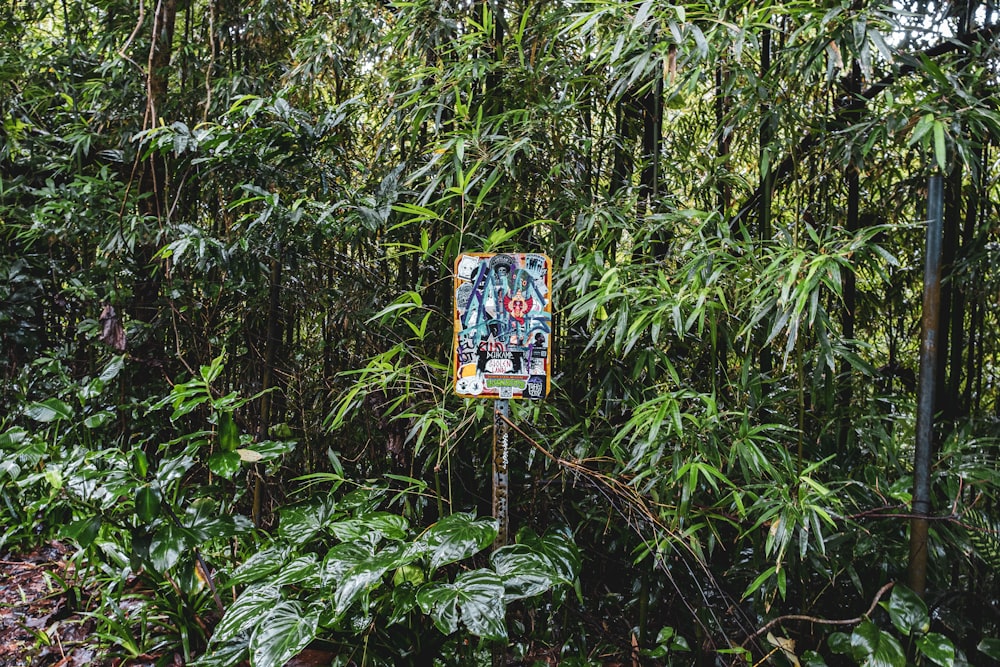 a sign that is in the middle of a forest