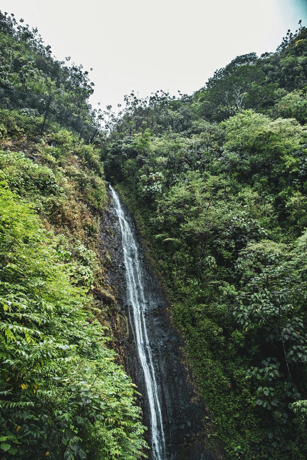 a waterfall in the middle of a lush green forest