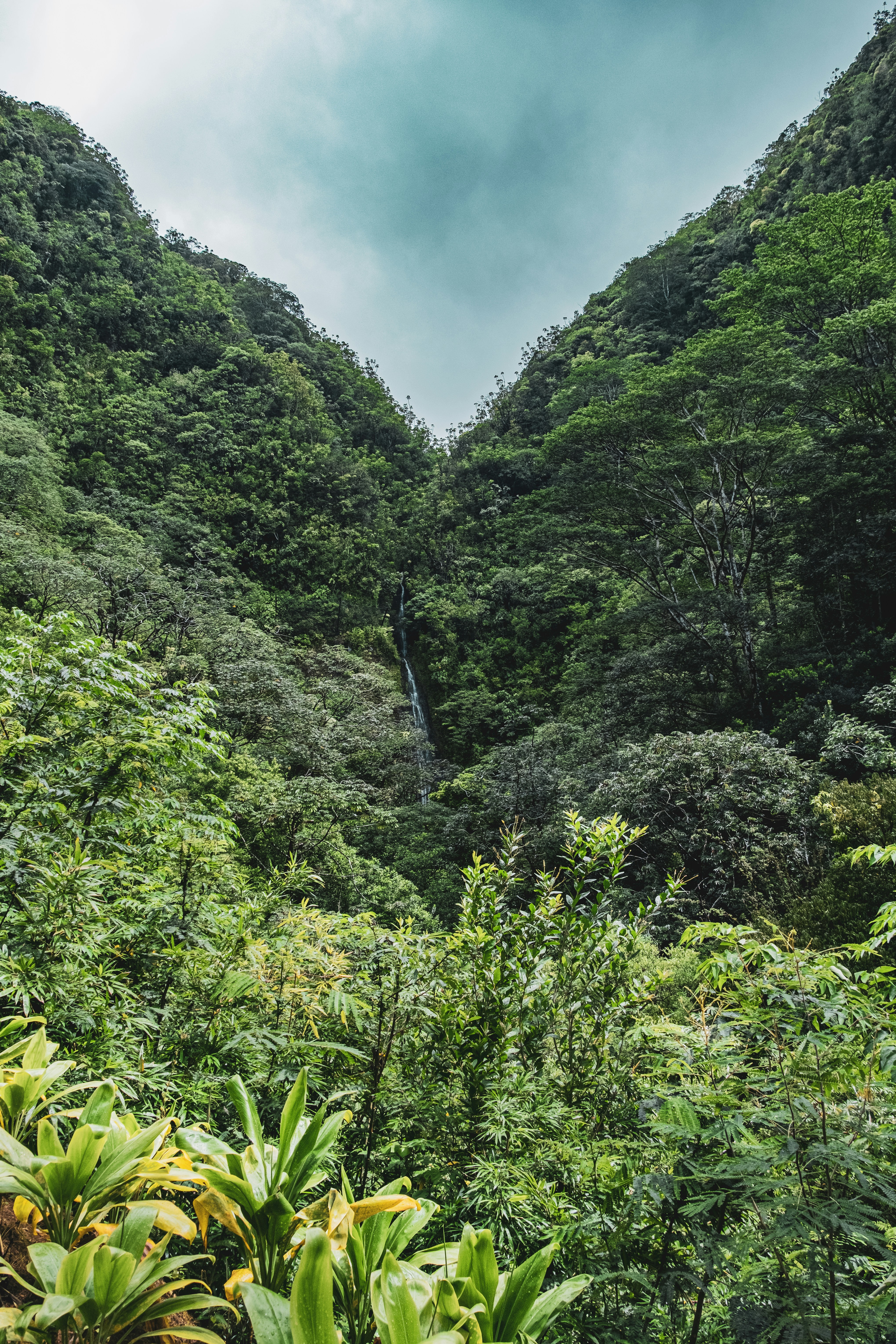 Photo by alanrodriguez