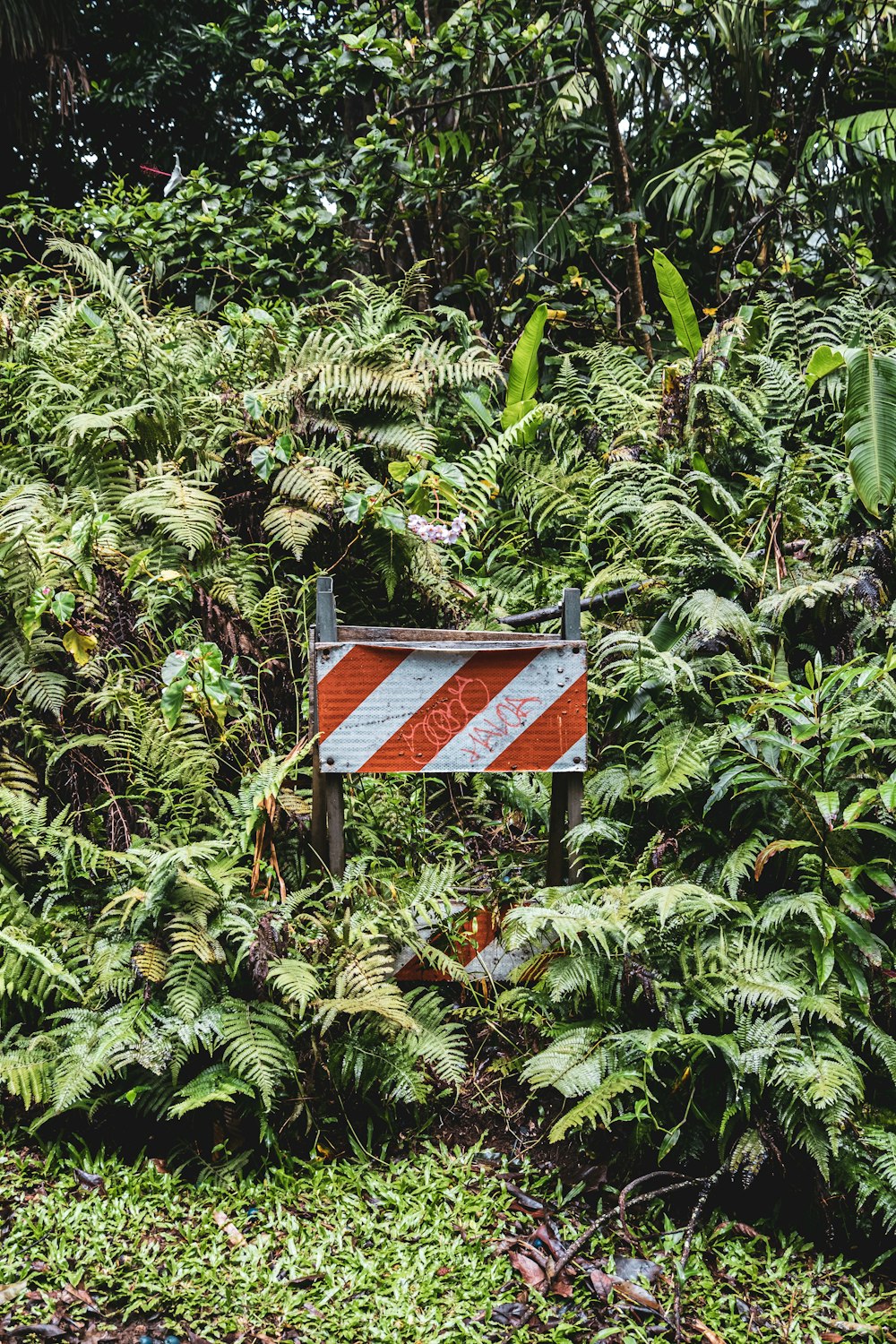 a red and white sign sitting in the middle of a forest