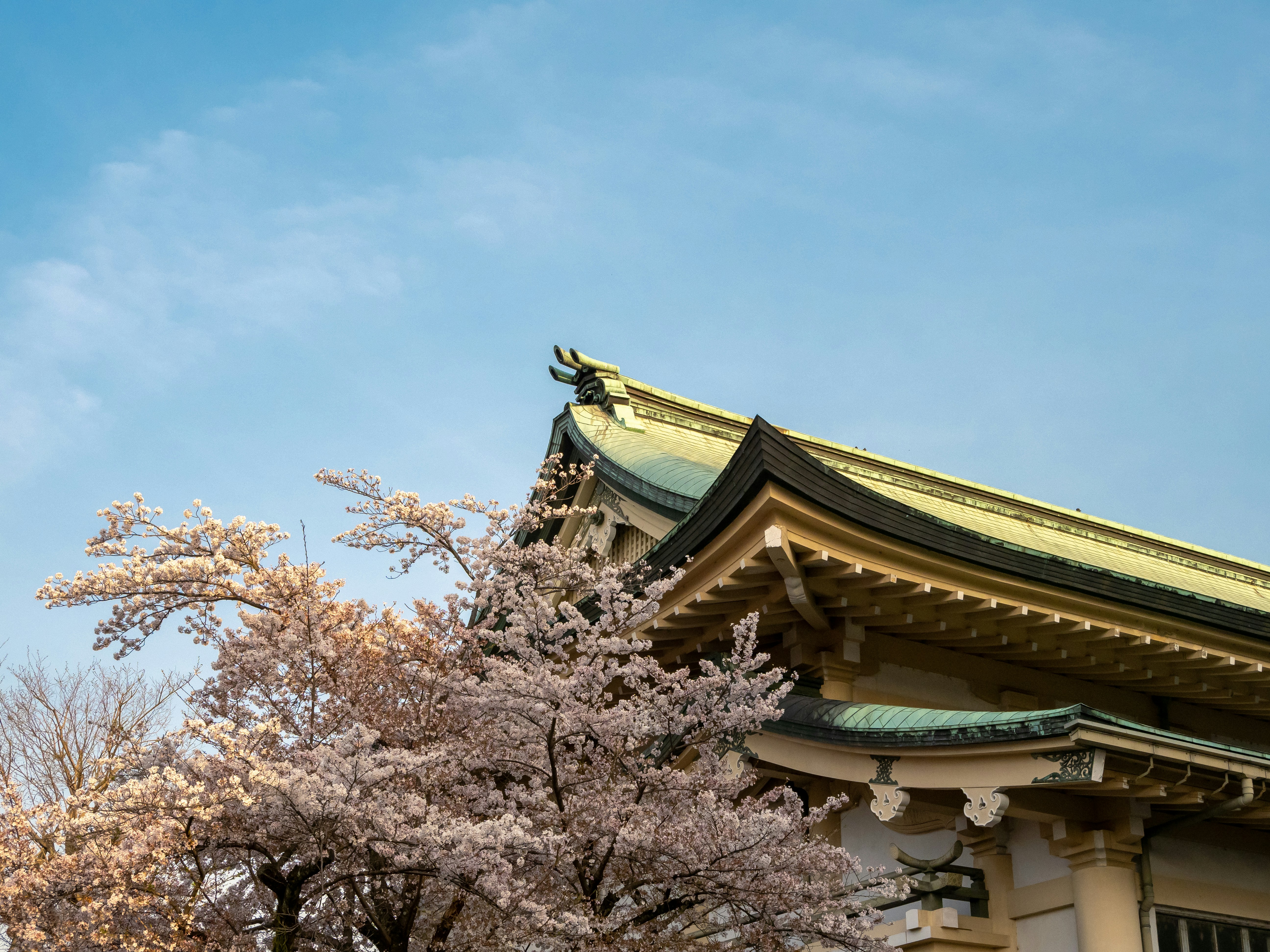 Photo by shellingfordyu