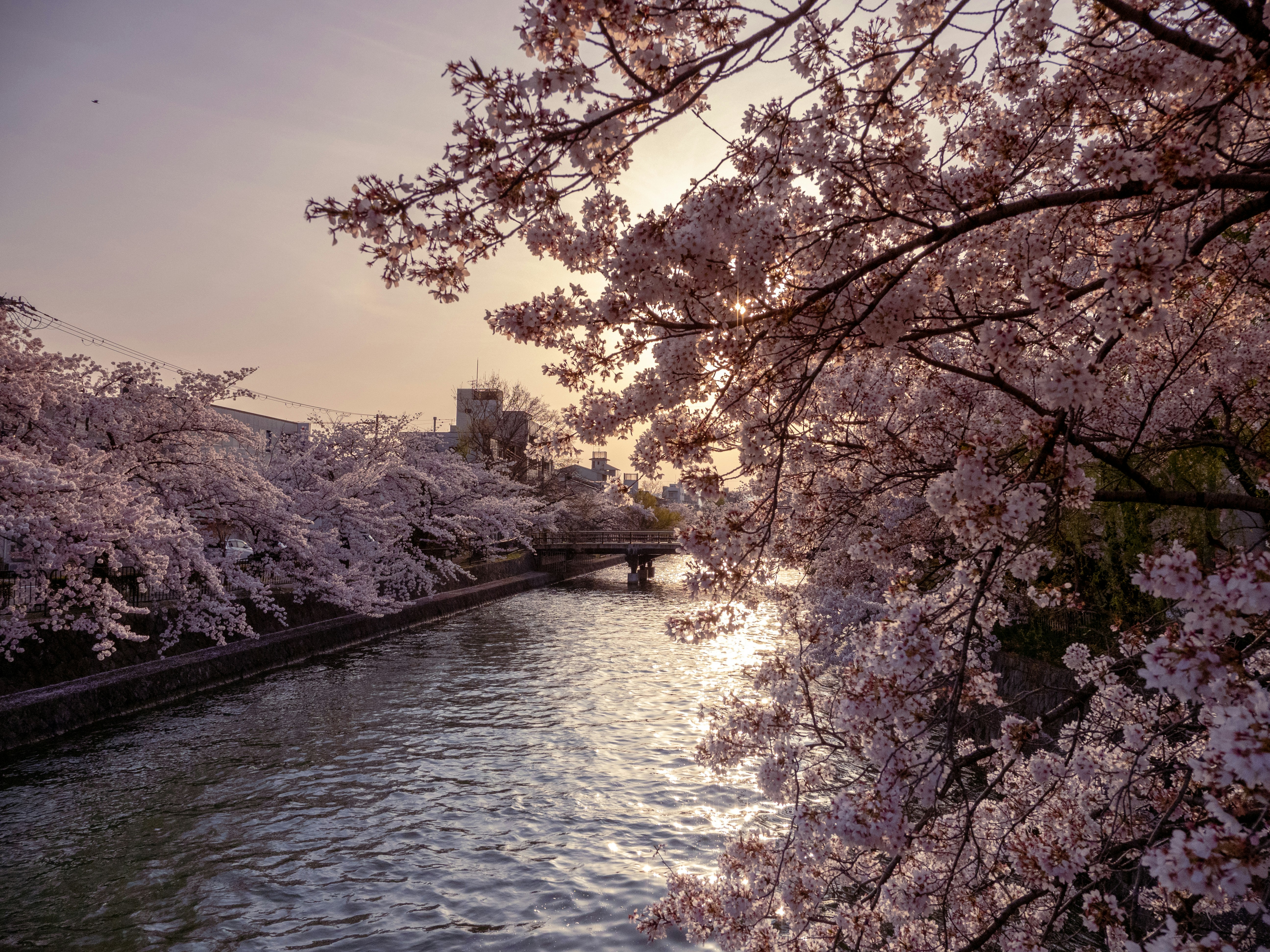 Photo by shellingfordyu