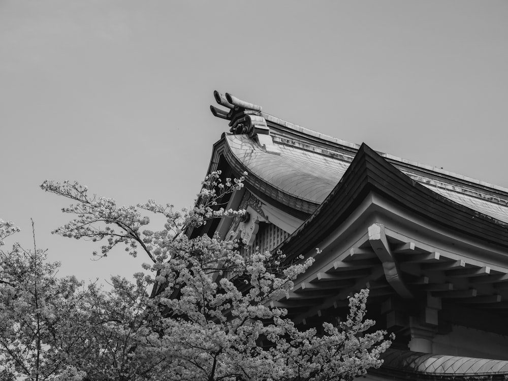 a black and white photo of a building with a tree in front of it