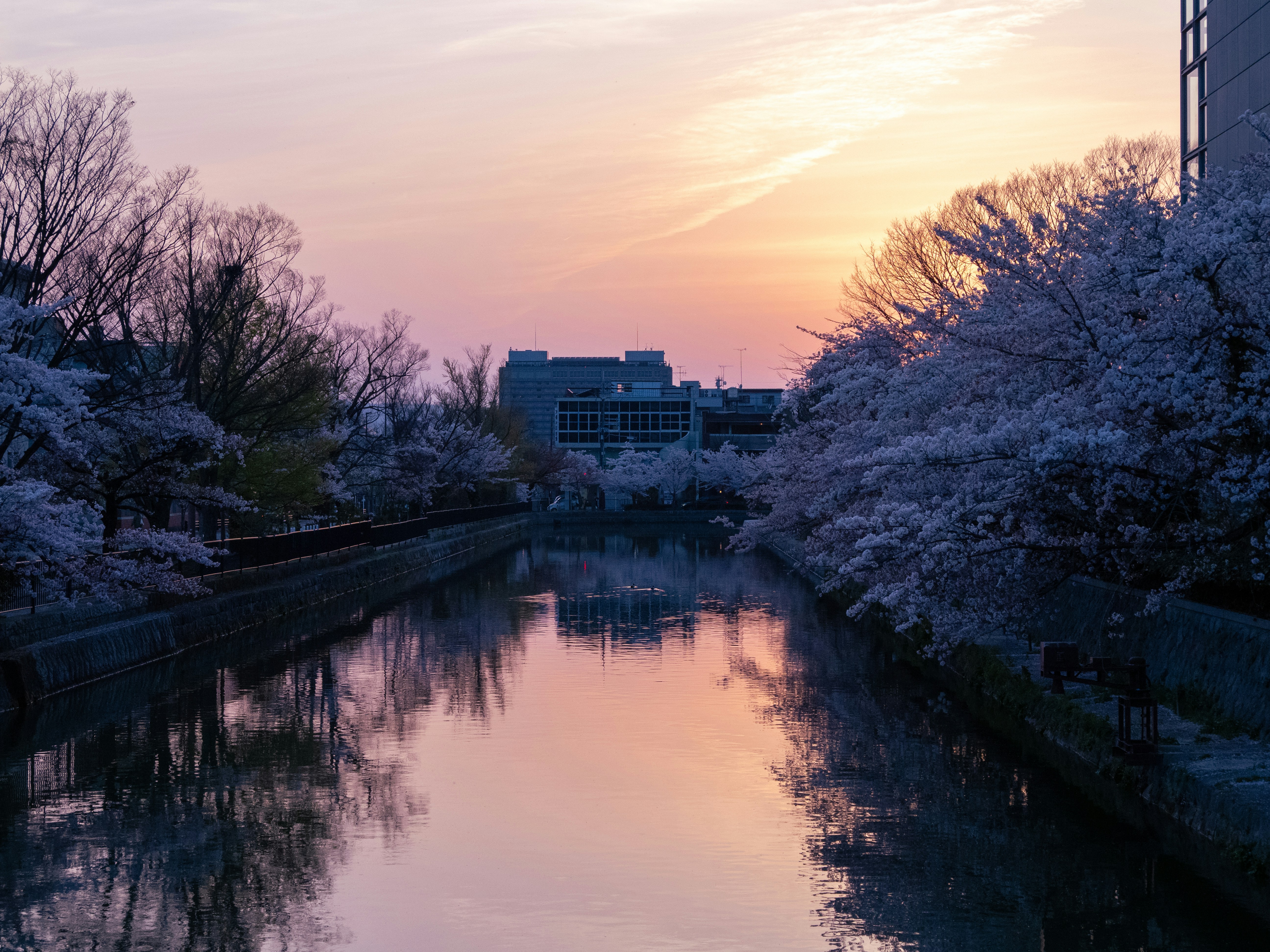 Photo by shellingfordyu