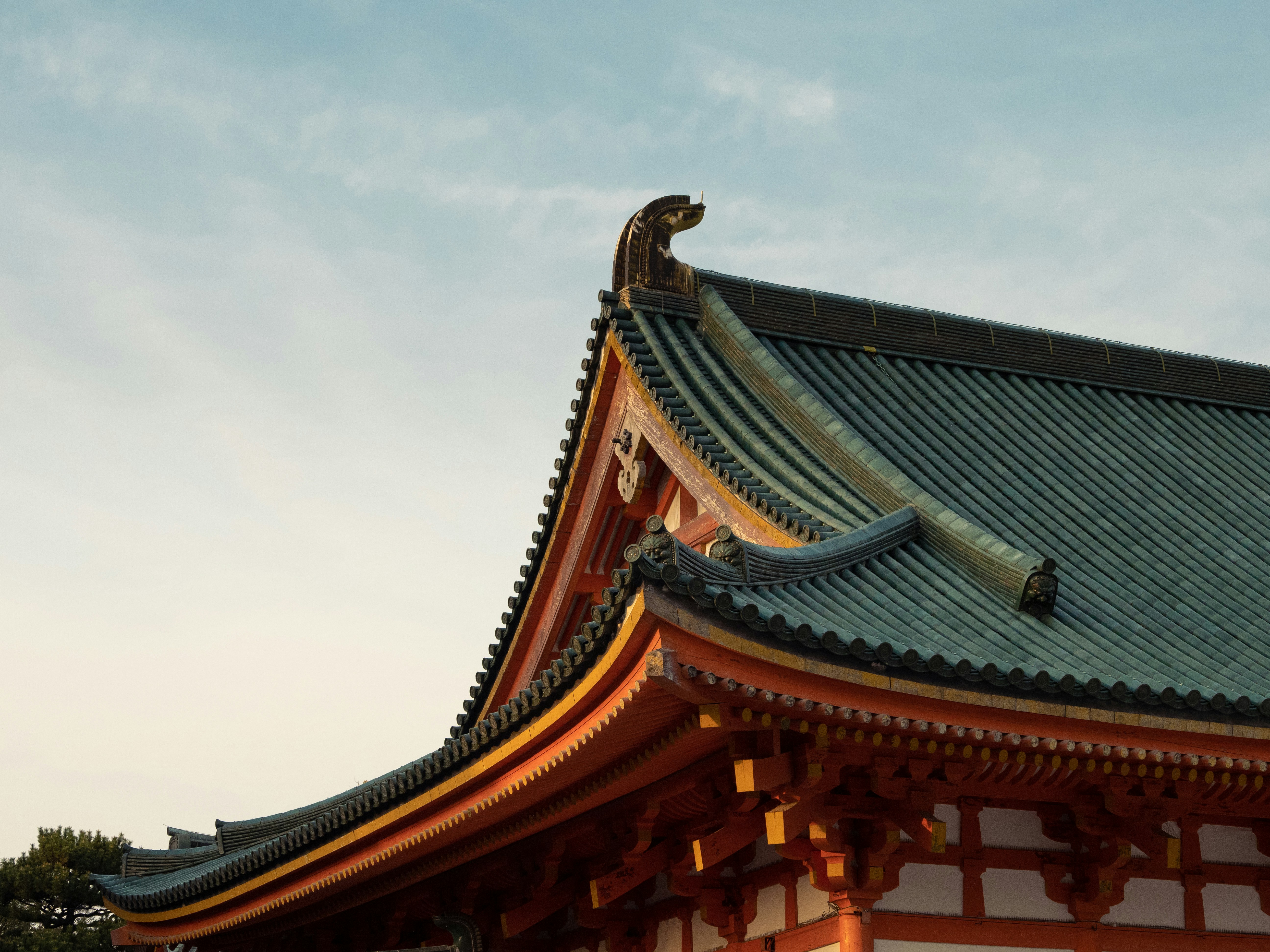 Photo by shellingfordyu