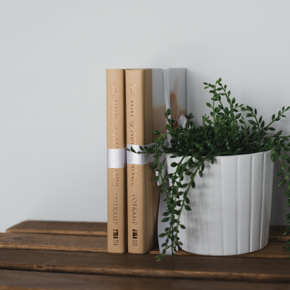 two books on a shelf next to a potted plant