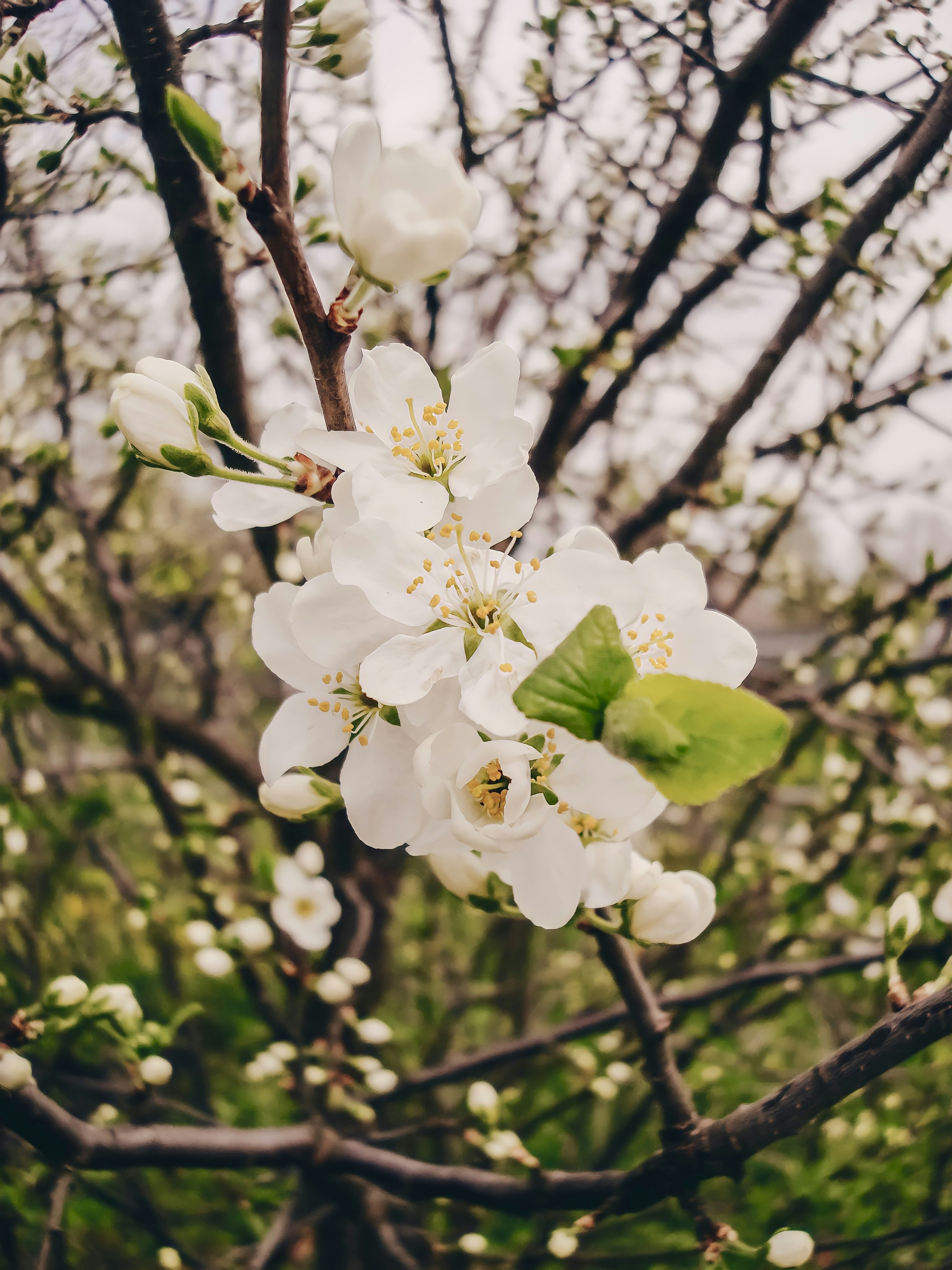 Photo by eugene_golovesov