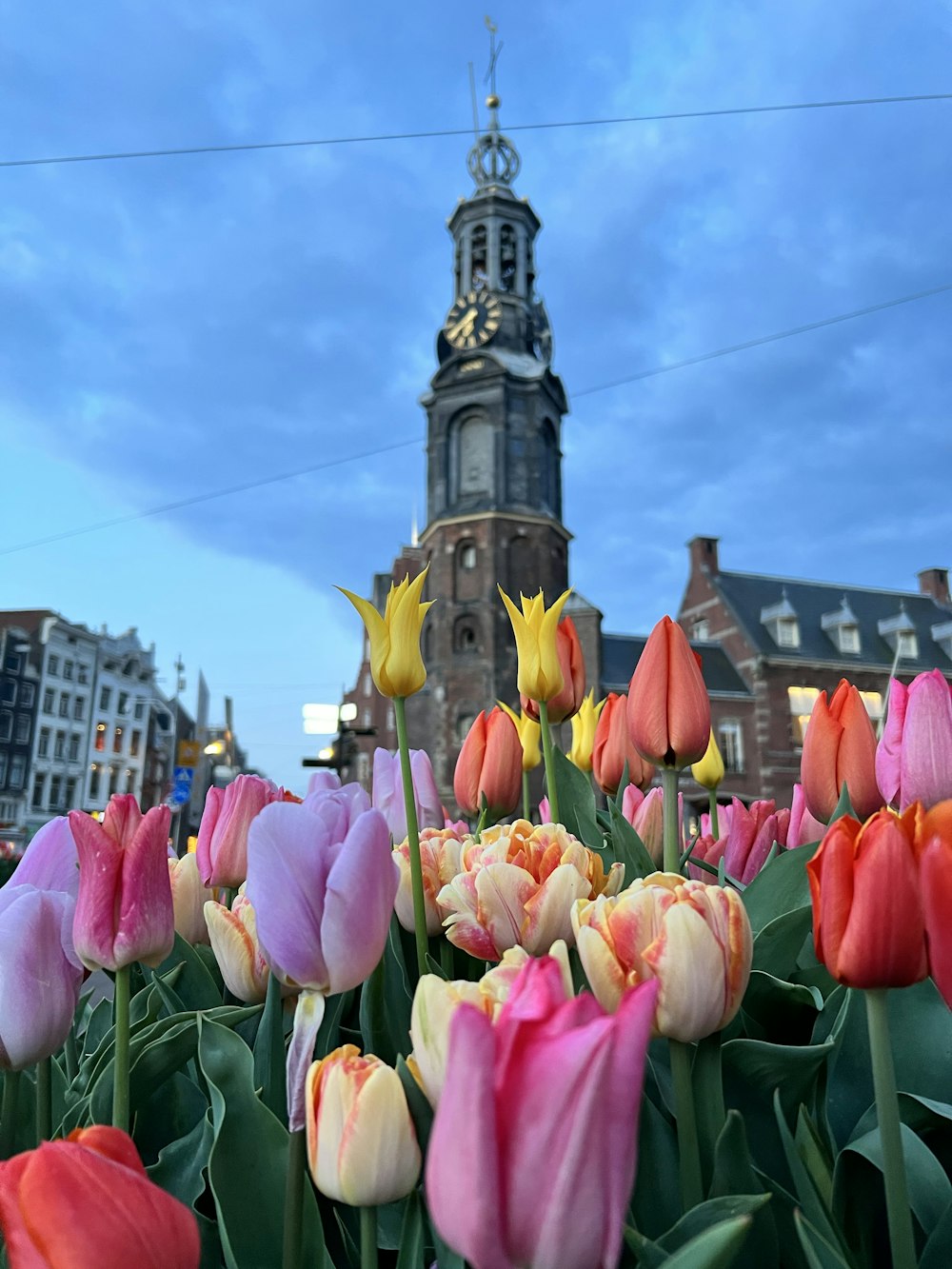 a field of tulips in front of a building