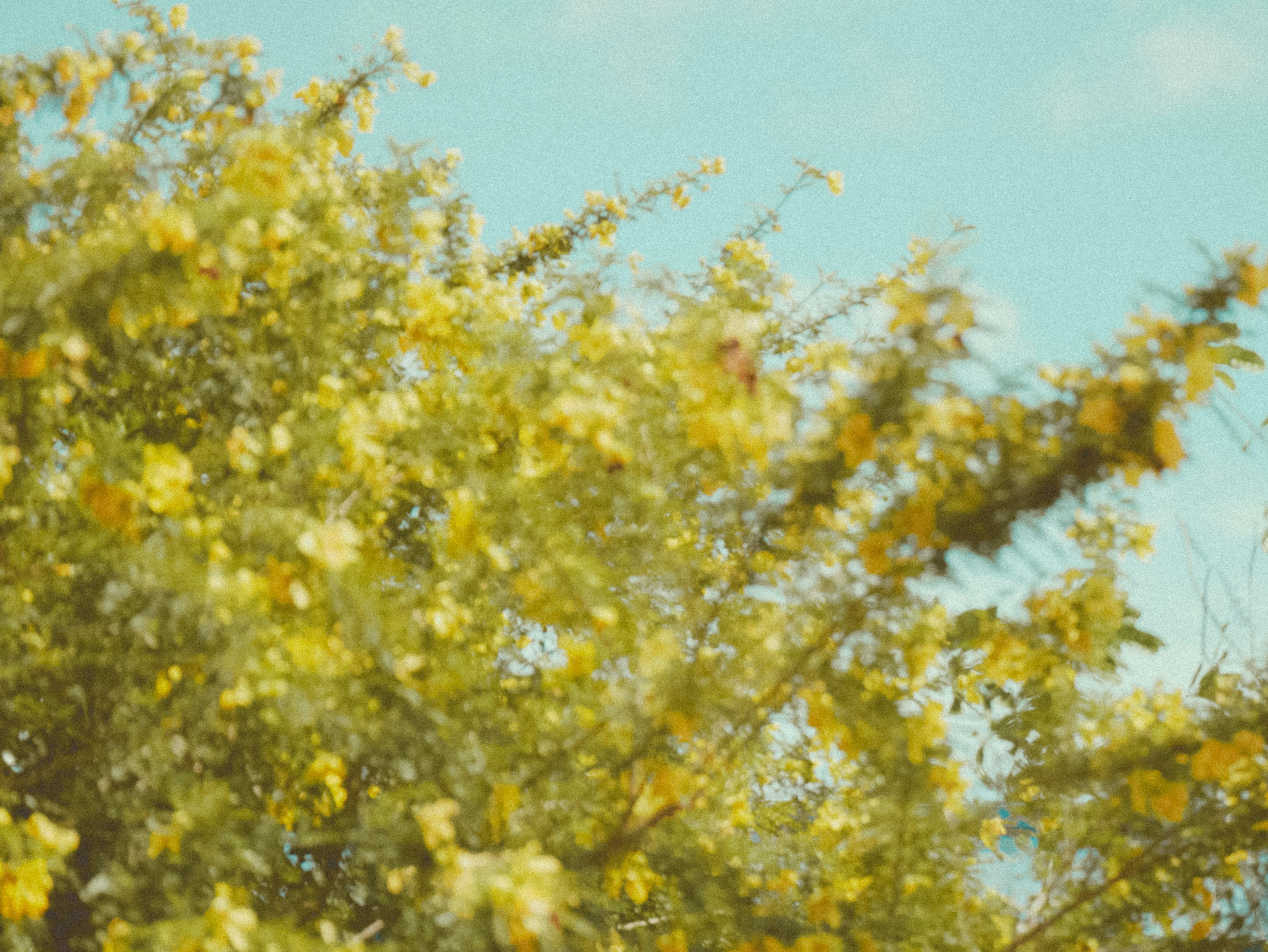 Photo by shotssbyluna