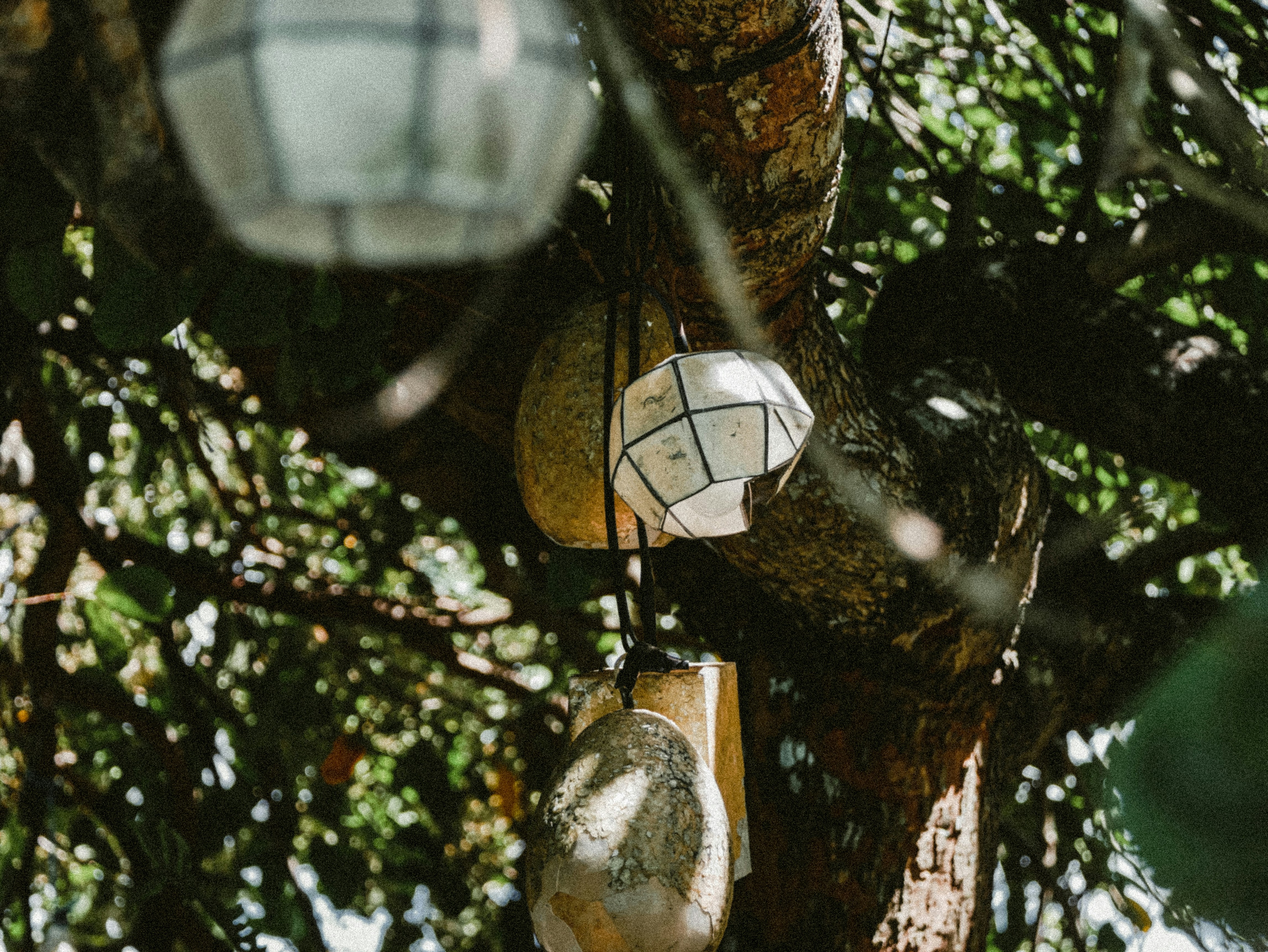 Photo by shotssbyluna