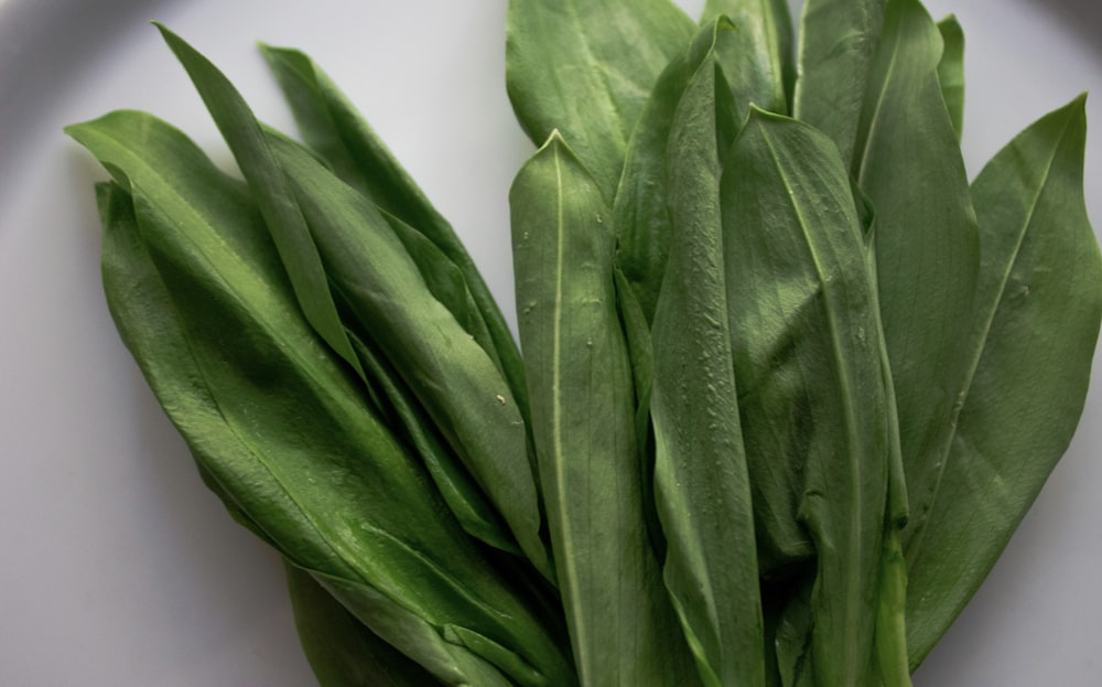 a bunch of green leaves on a white plate