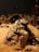 A rocky display with a large lizard resting on top is set within a diorama scene that includes desert vegetation and a taxidermy hyena sniffing the ground in the background. The setting appears to mimic a natural desert habitat, with sandy terrain and sparse vegetation.