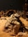 A rocky display with a large lizard resting on top is set within a diorama scene that includes desert vegetation and a taxidermy hyena sniffing the ground in the background. The setting appears to mimic a natural desert habitat, with sandy terrain and sparse vegetation.