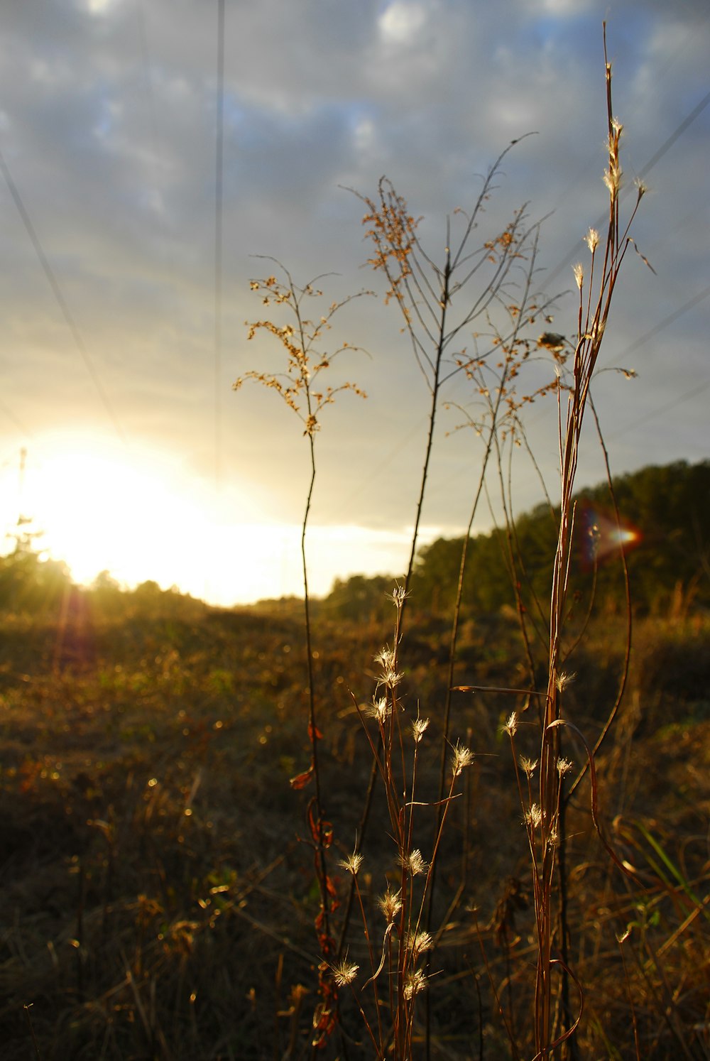 the sun is shining through the clouds over a field