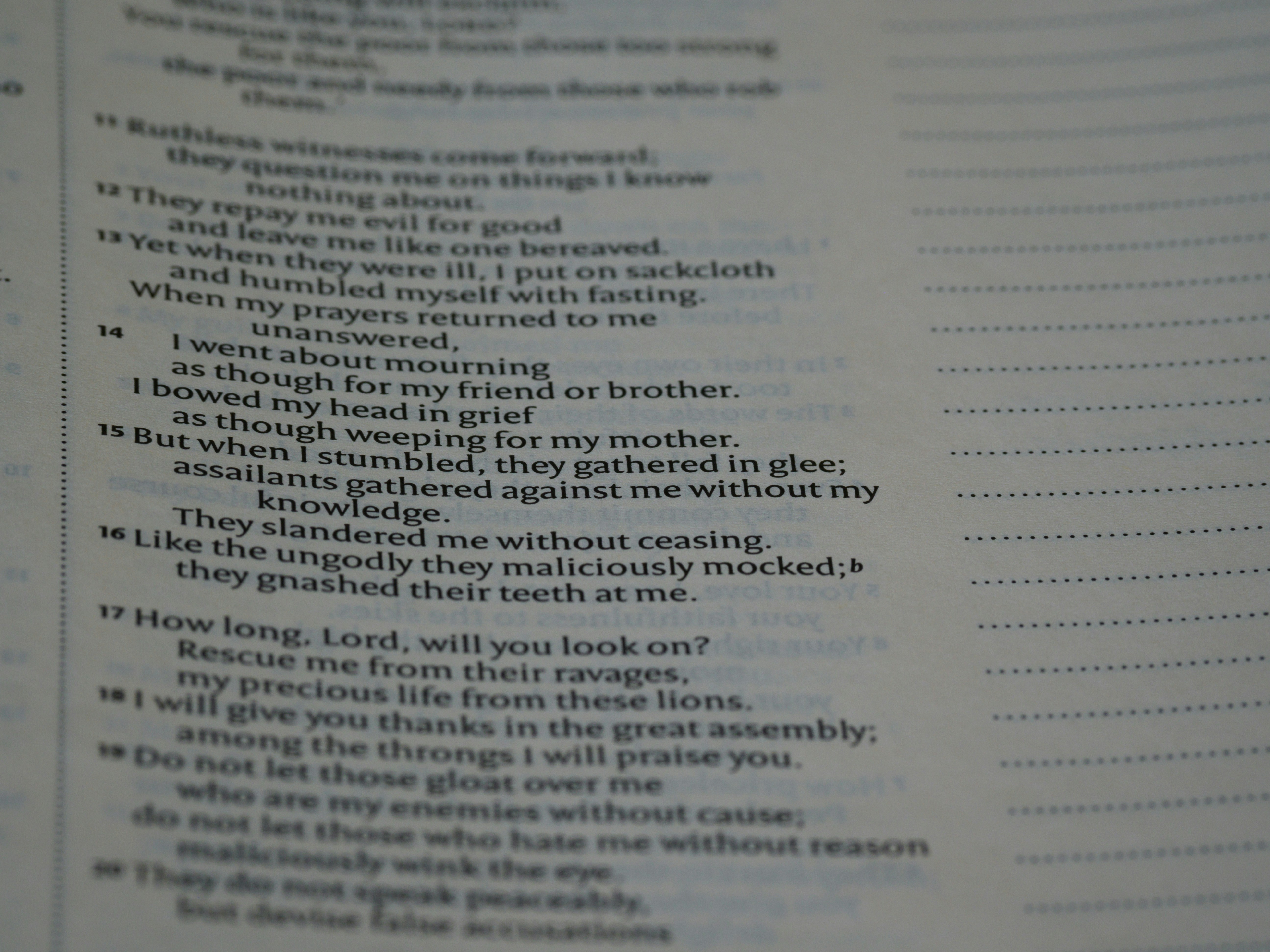 Photo by brett_jordan